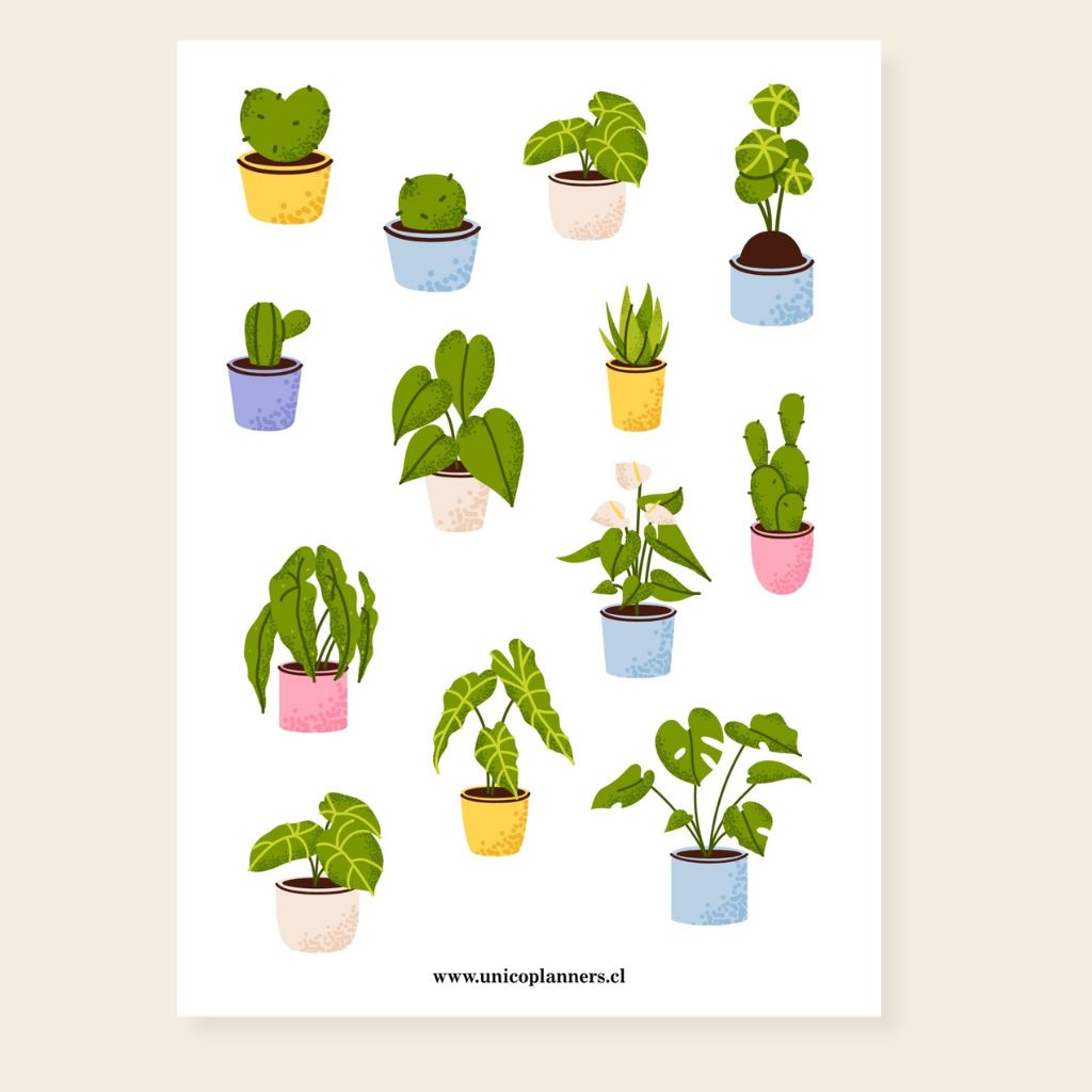 Set de Stickers | Cozy Greens