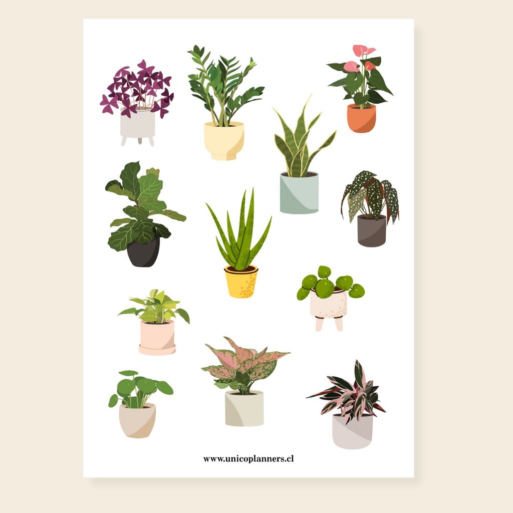 Set de Stickers | Cozy Greens