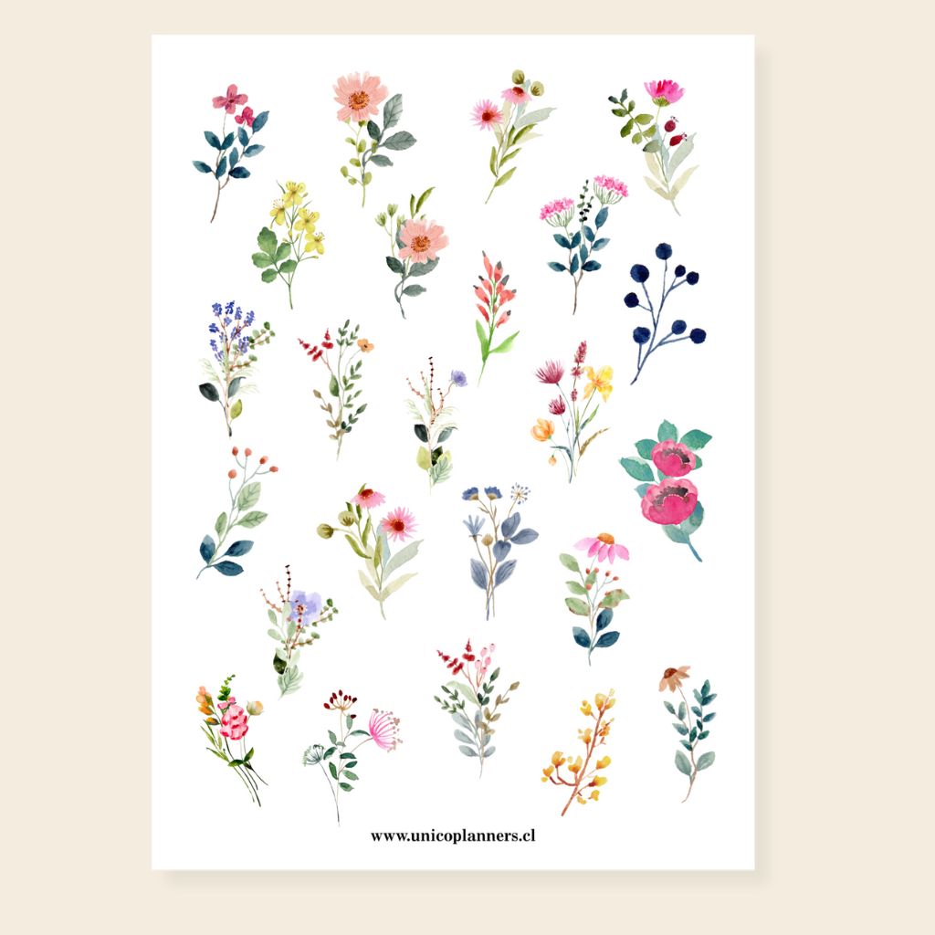 Set de Stickers | Radiant Garden