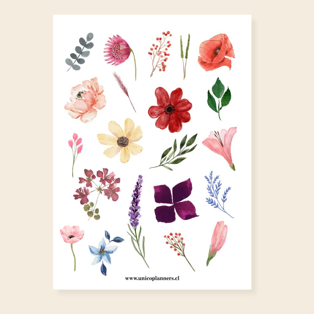 Set de Stickers | Bloom & Grow