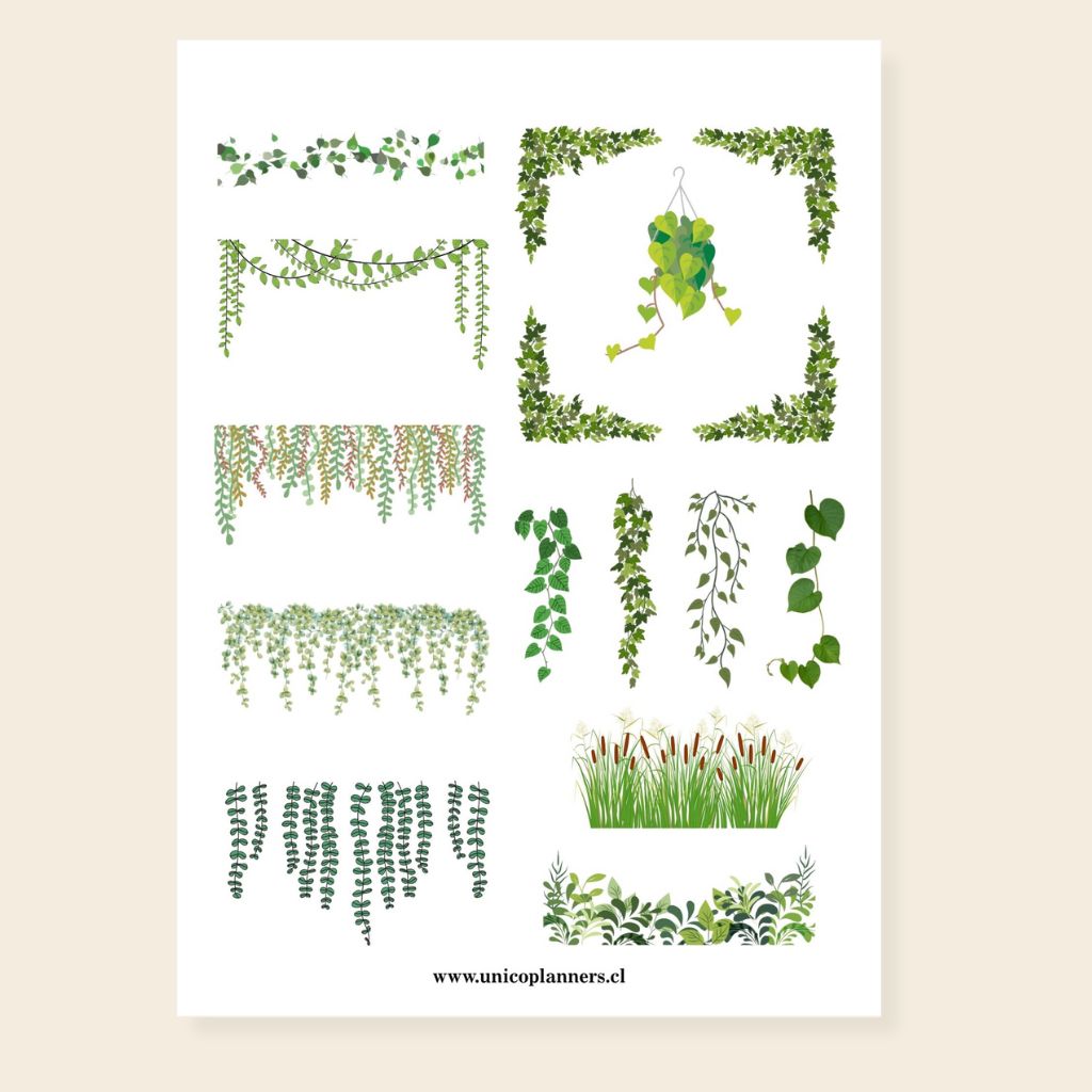 Set de Stickers | Cozy Greens