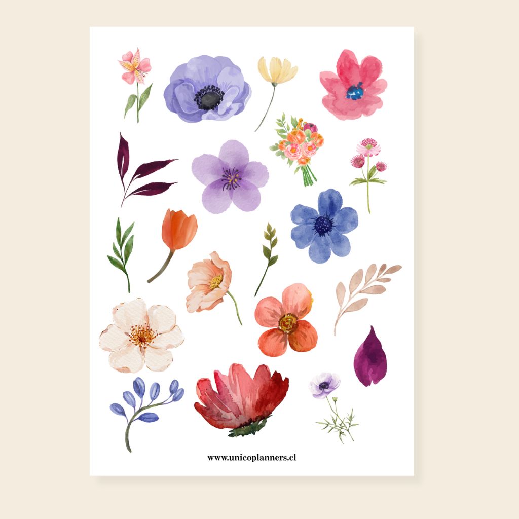 Set de Stickers | Bloom & Grow