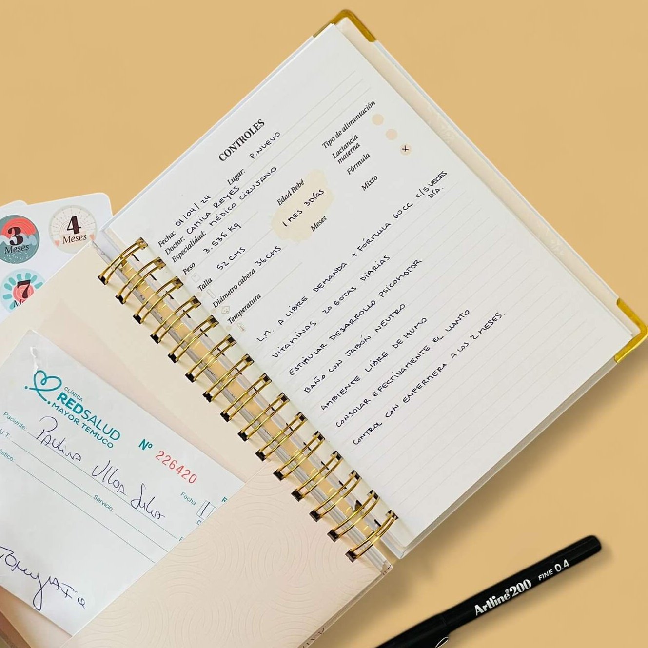 Diario Único Mi Bebé