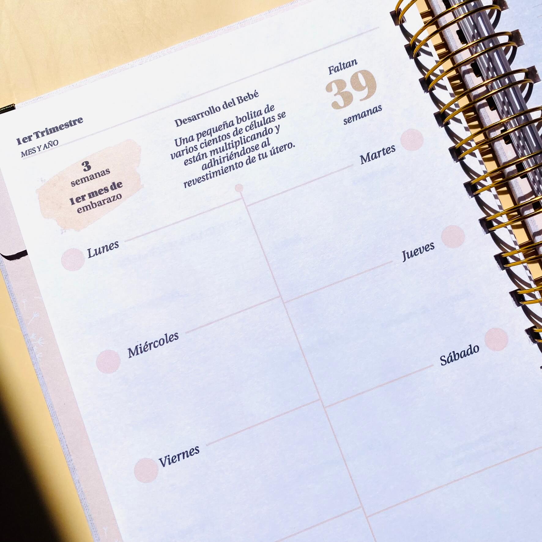 Diario Único Mi Embarazo - Fabric