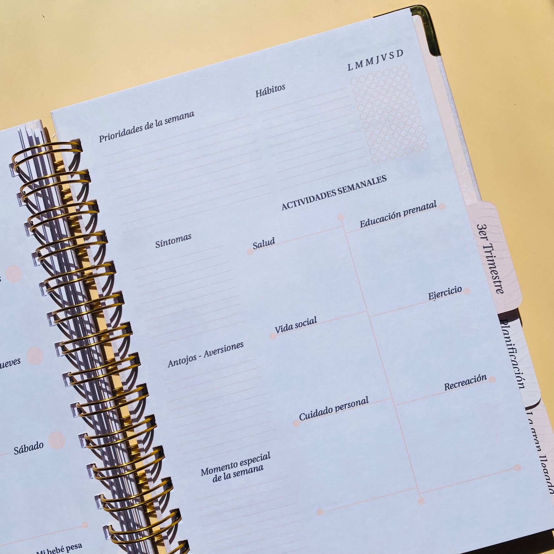 Diario Único Mi Embarazo - Fabric