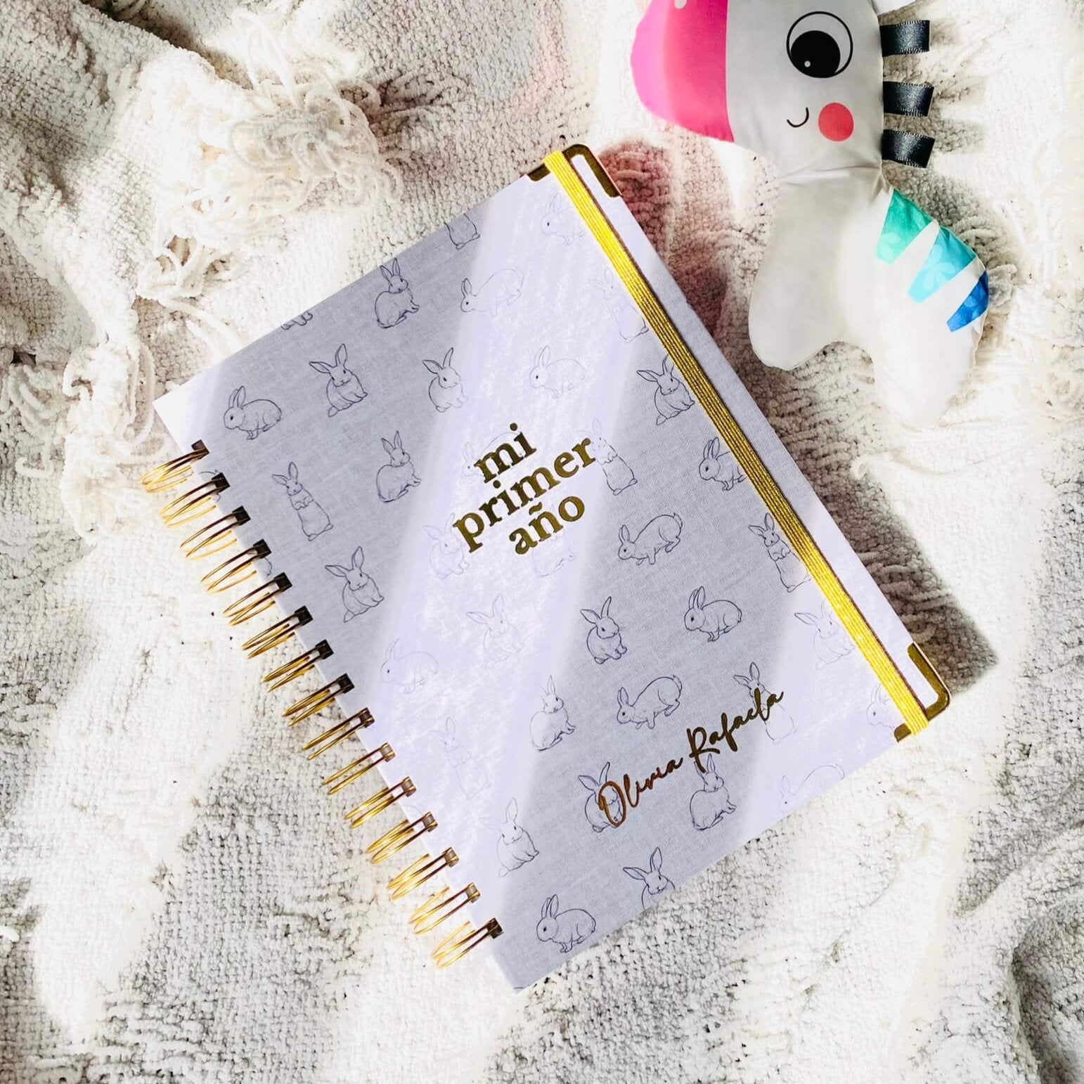 Diario Único Mi Primer Año - Hop Fabric