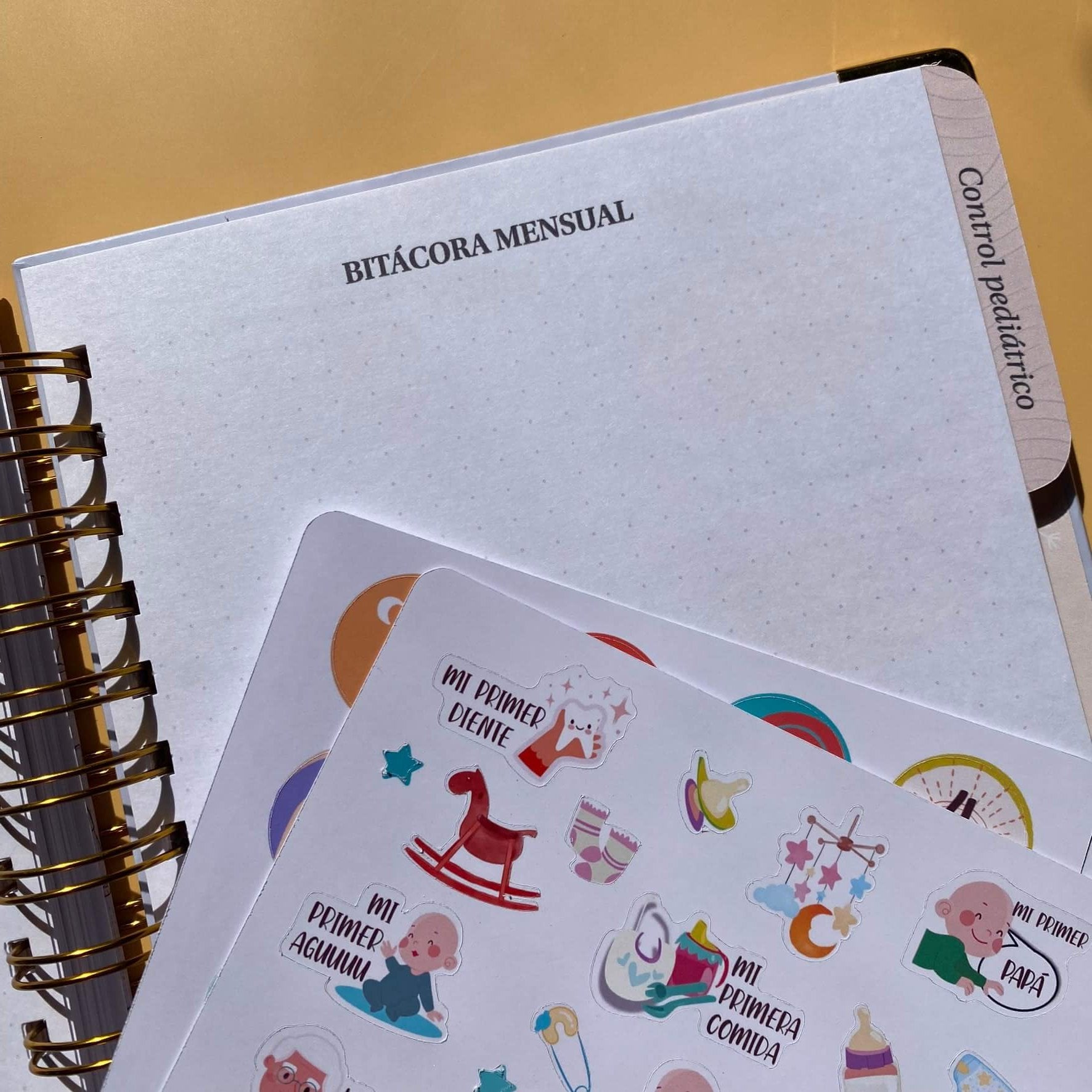 Diario Único Mi Bebé