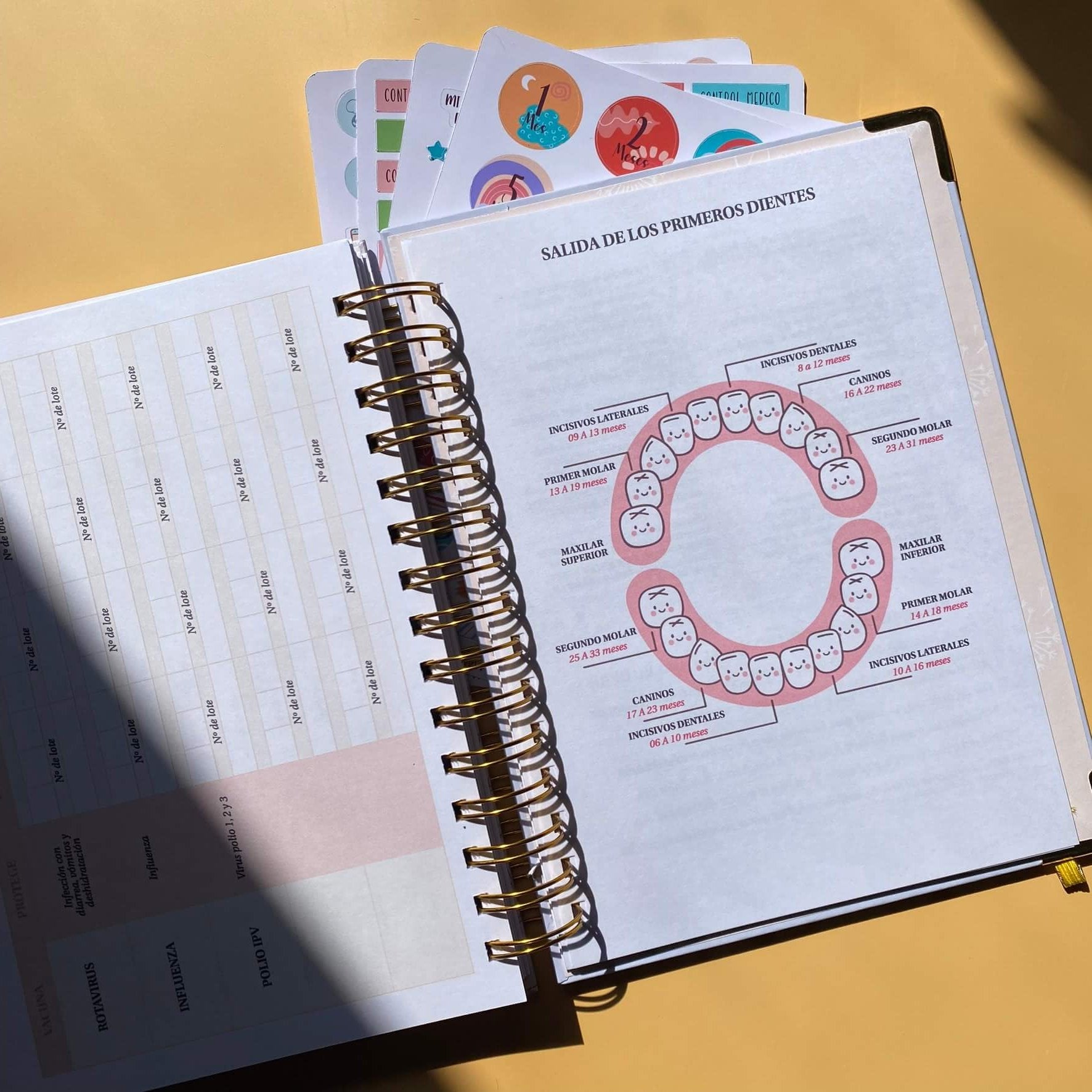 Diario Único Mi Bebé