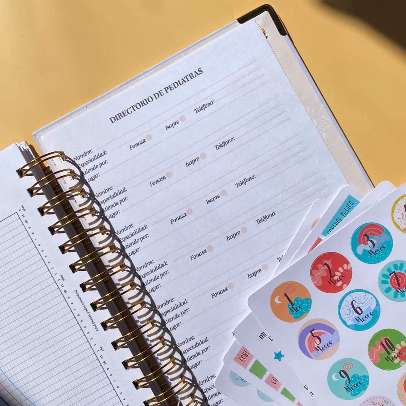 Diario Único Mi Bebé