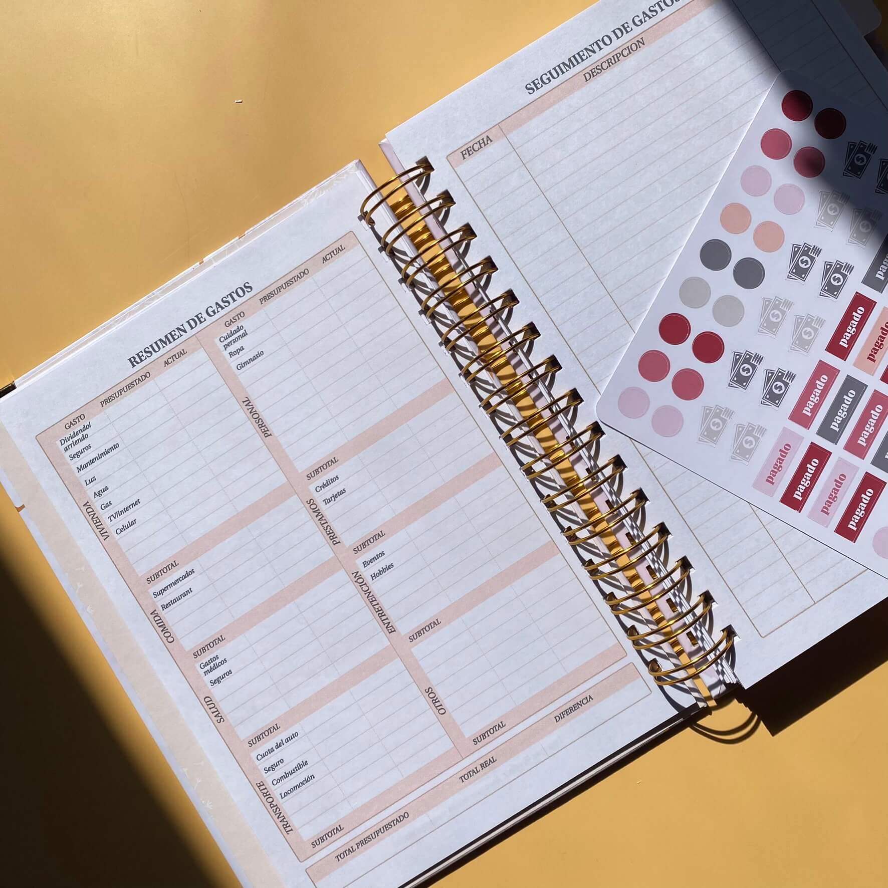 Planner de Finanzas 2025 - Fabric