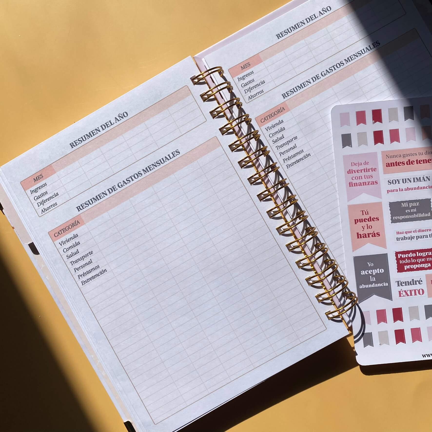 Planner de Finanzas 2025 - Fabric