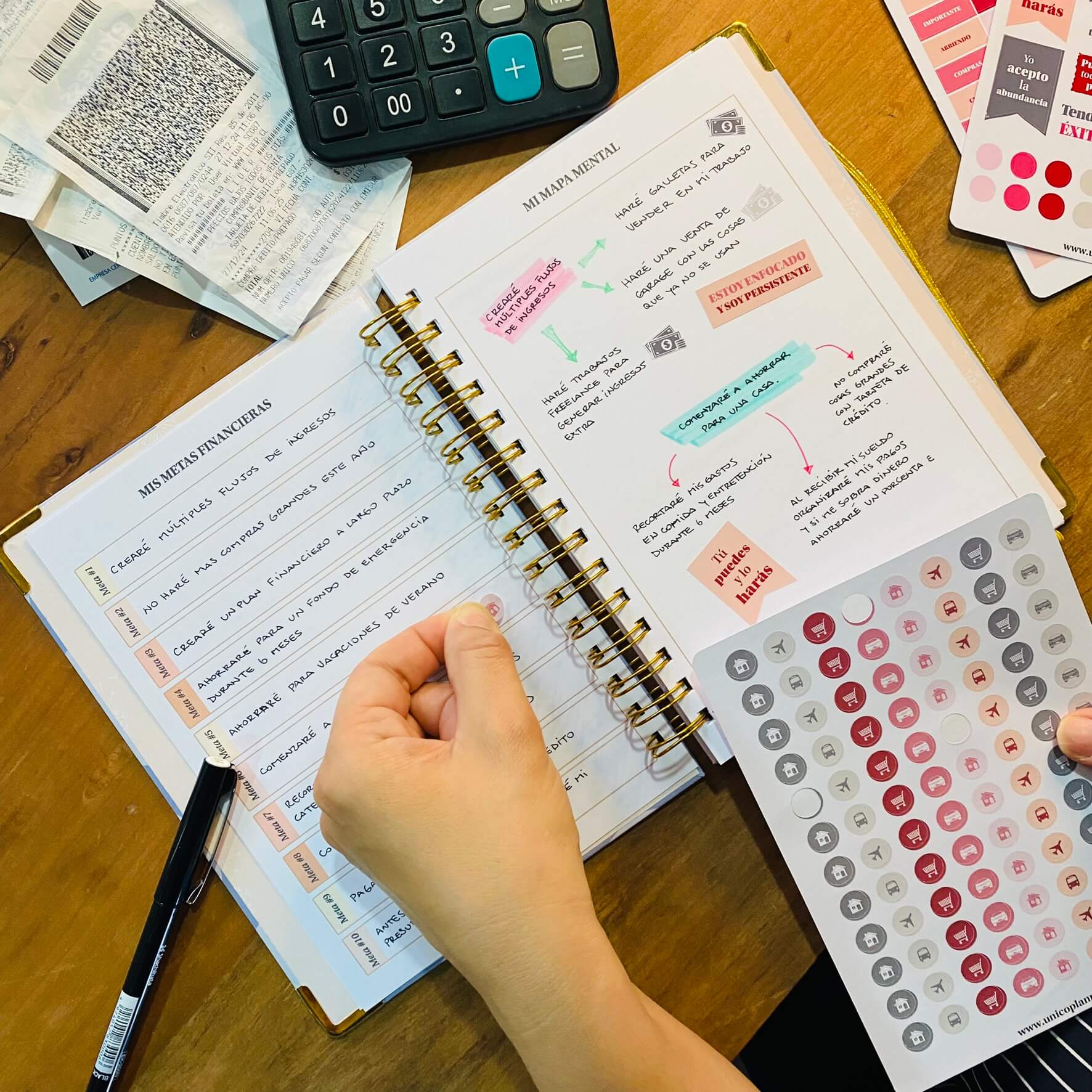 Planner de Finanzas 2025 - Fabric