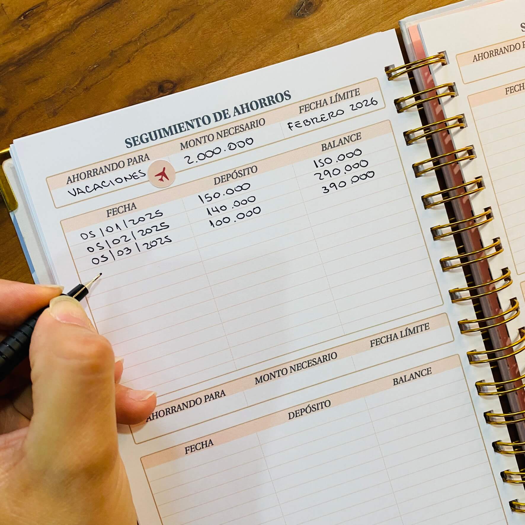 Planner de Finanzas 2025 - Fabric