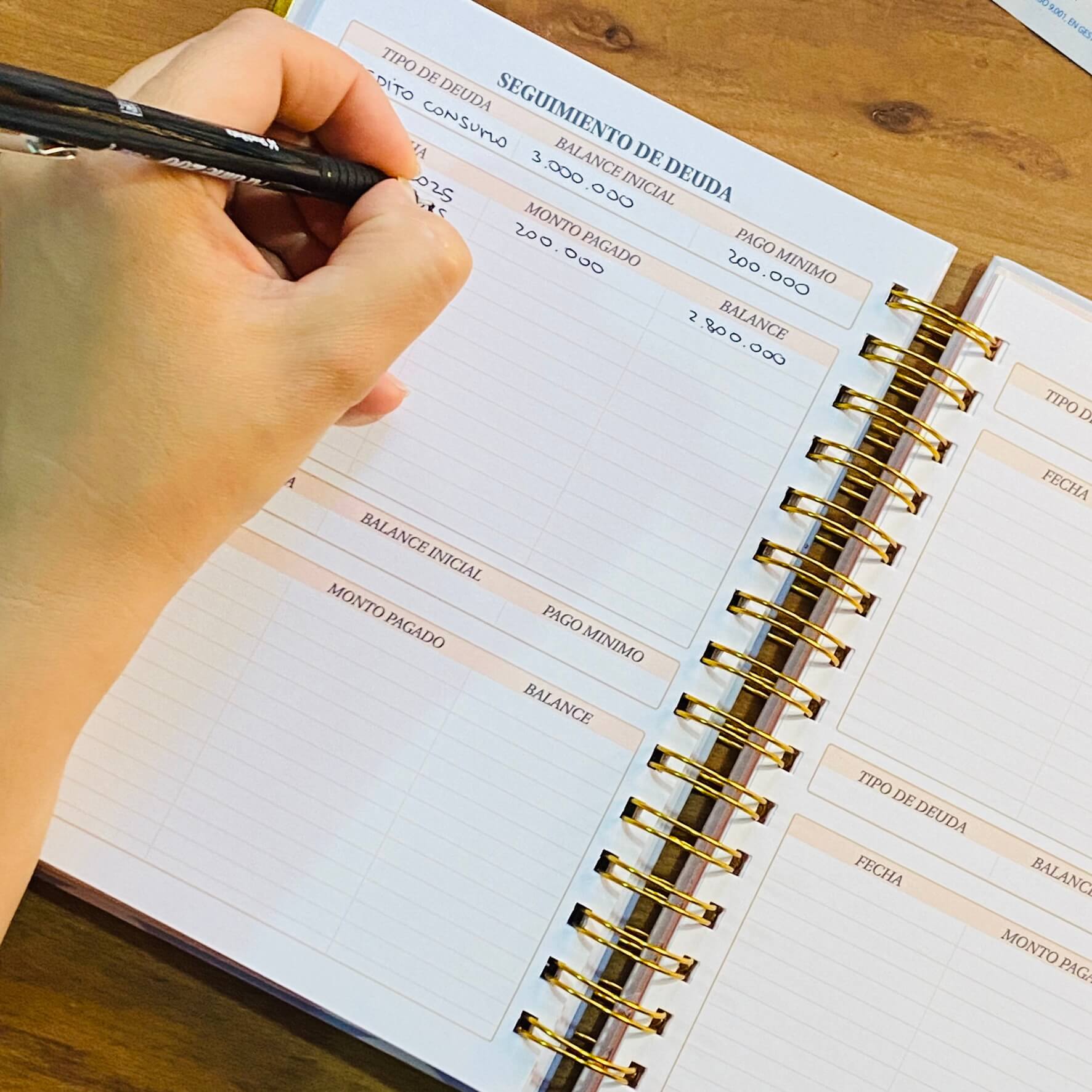 Planner de Finanzas 2025 - Fabric