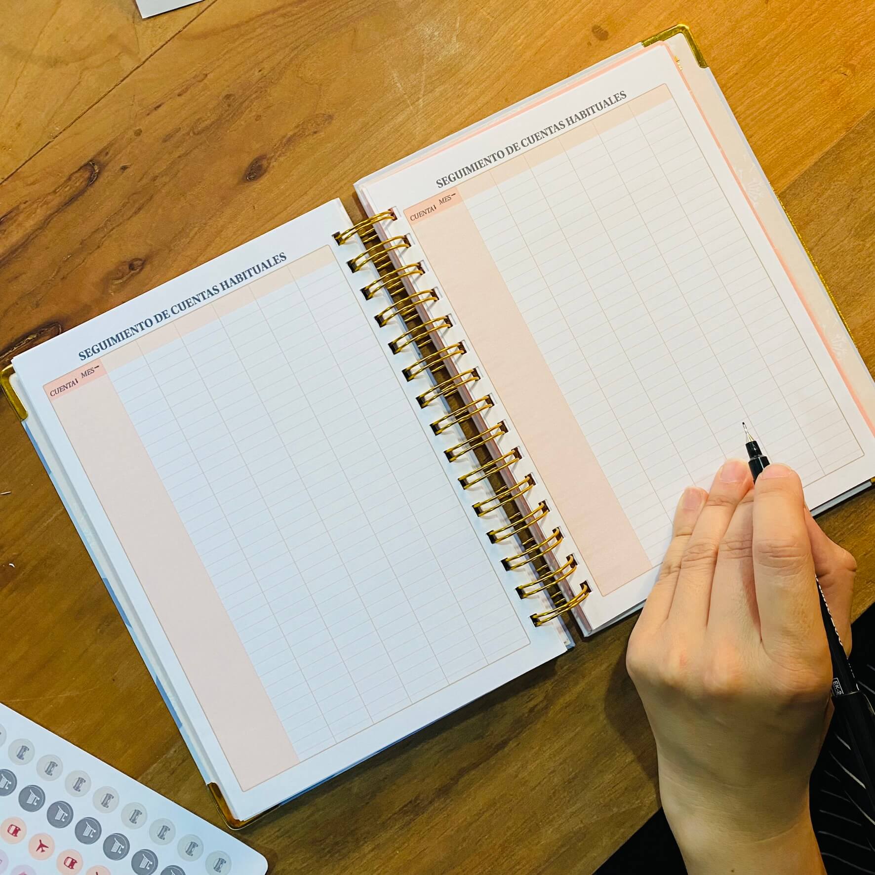 Planner de Finanzas 2025 - Fabric