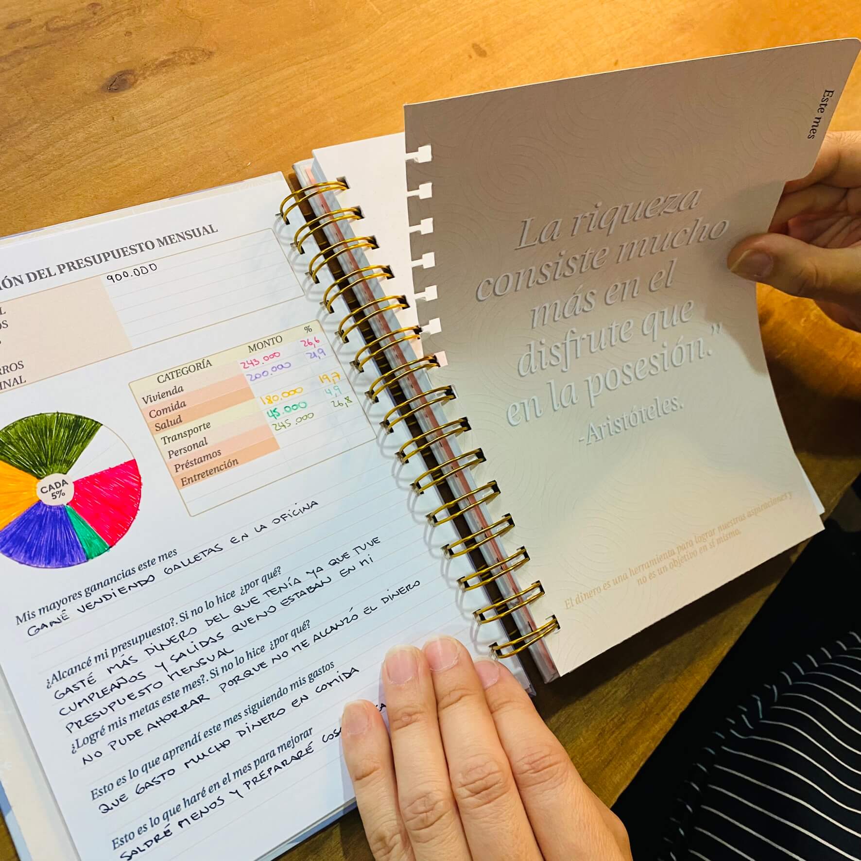 Planner de Finanzas 2025 - Fabric