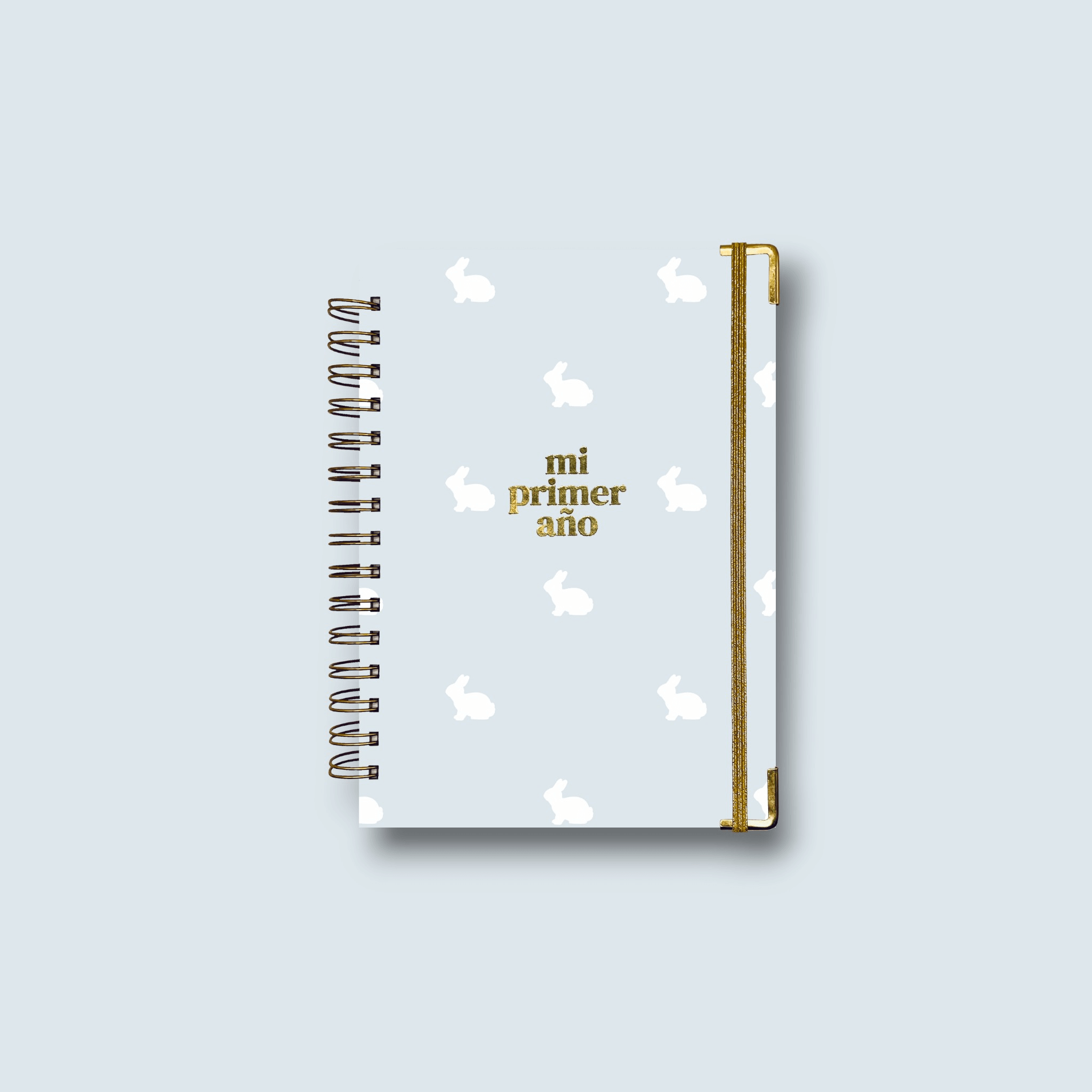 Diario Único Mi Primer Año - Hop