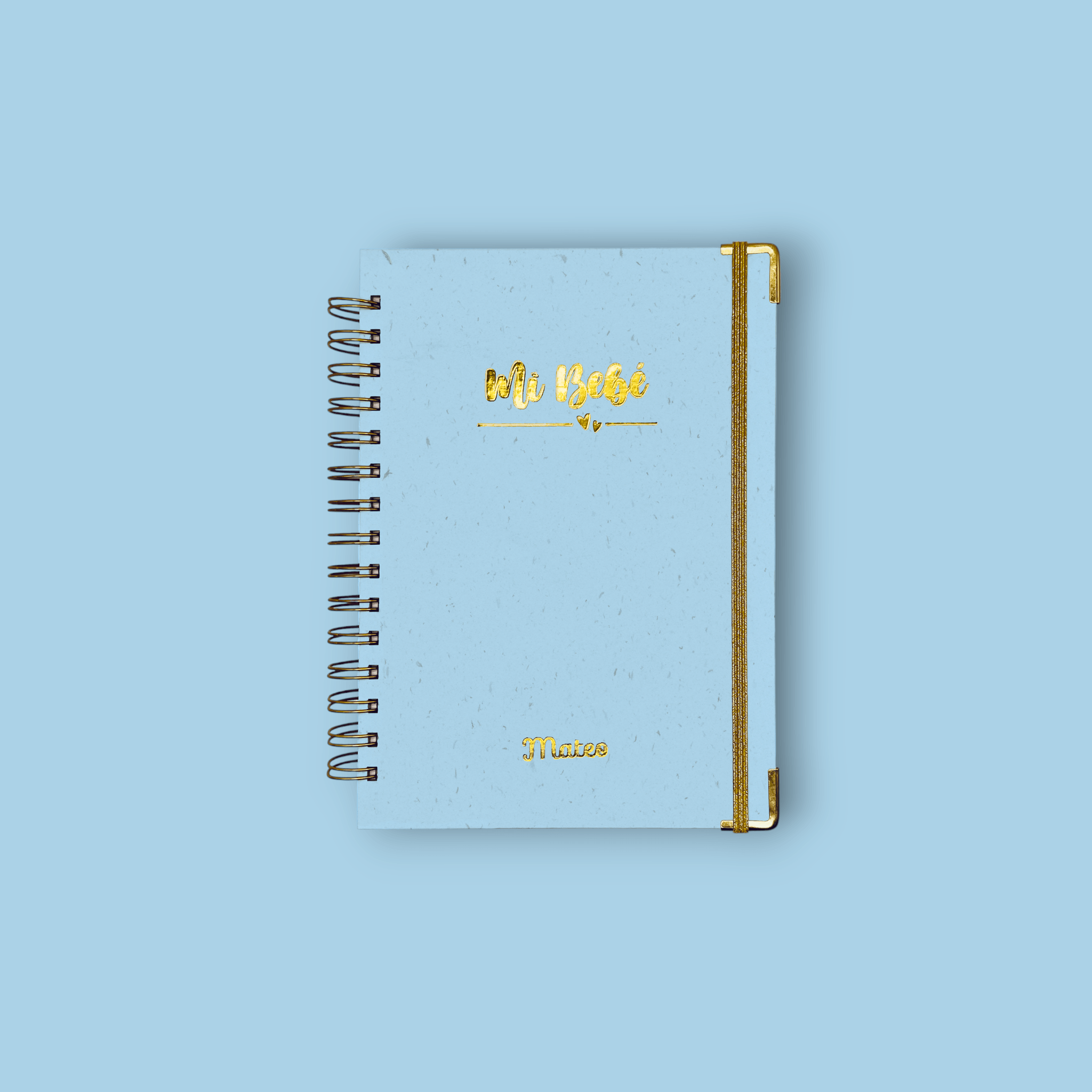 Diario Único Mi Bebé