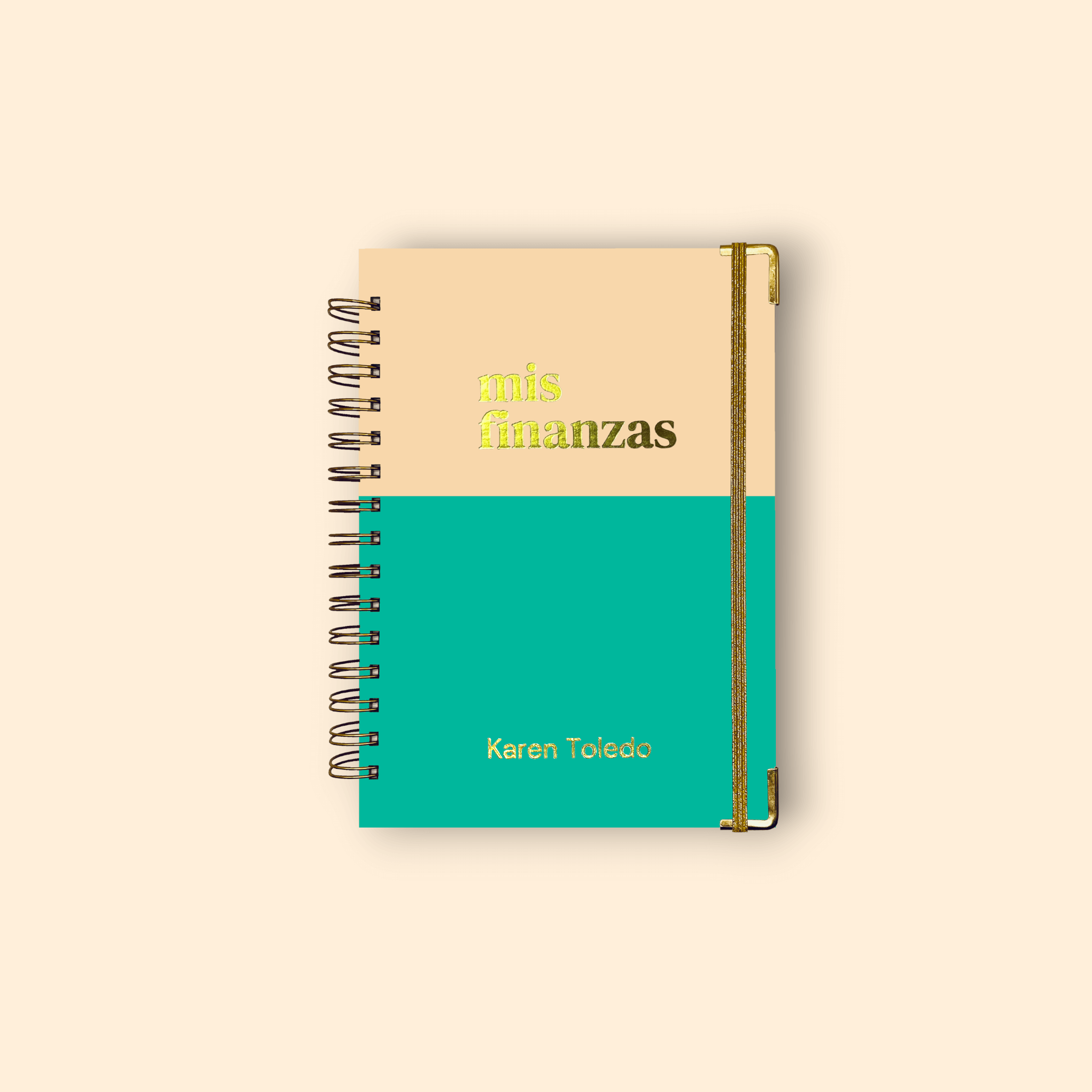 Planner de Finanzas 2025 - Colorblock