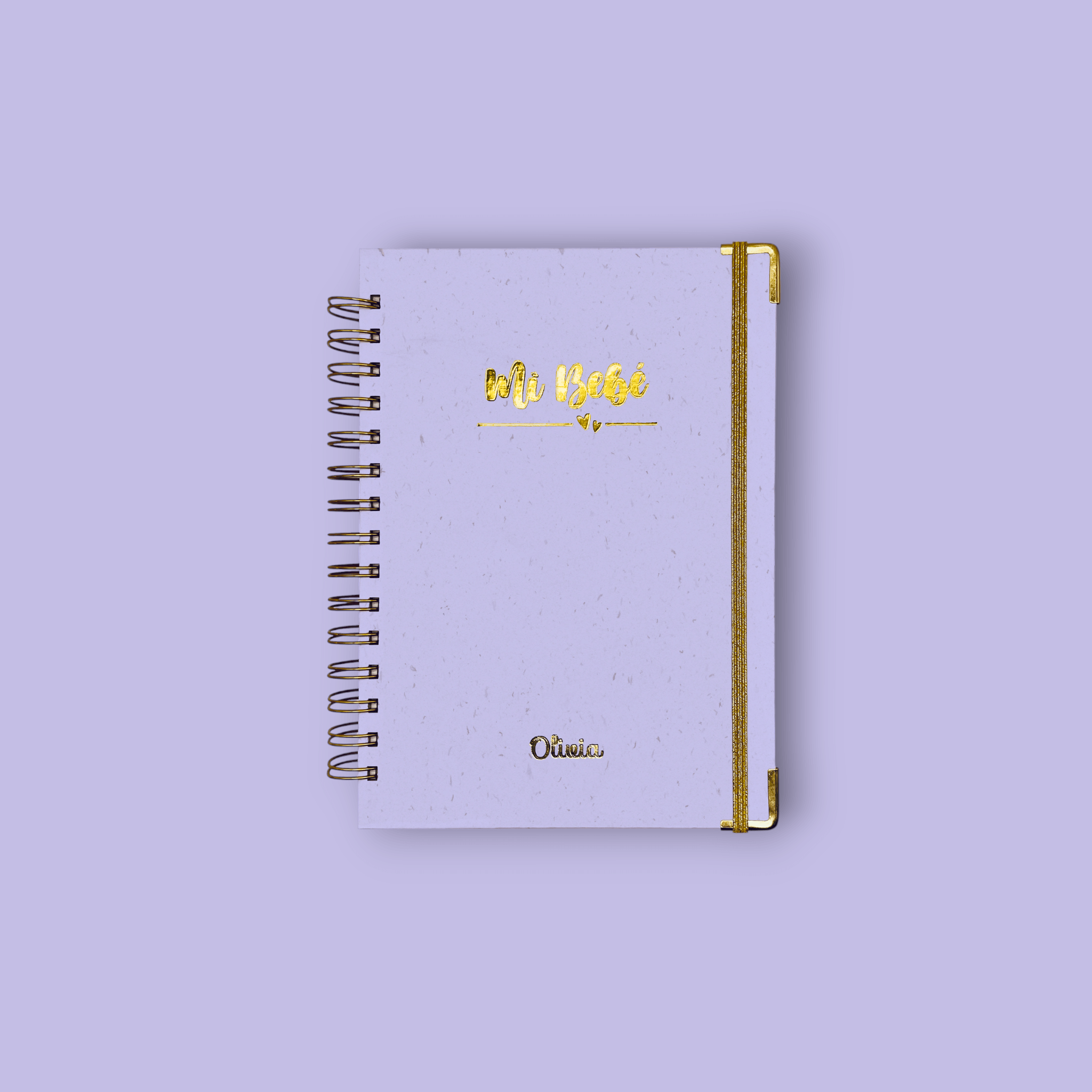 Diario Único Mi Bebé