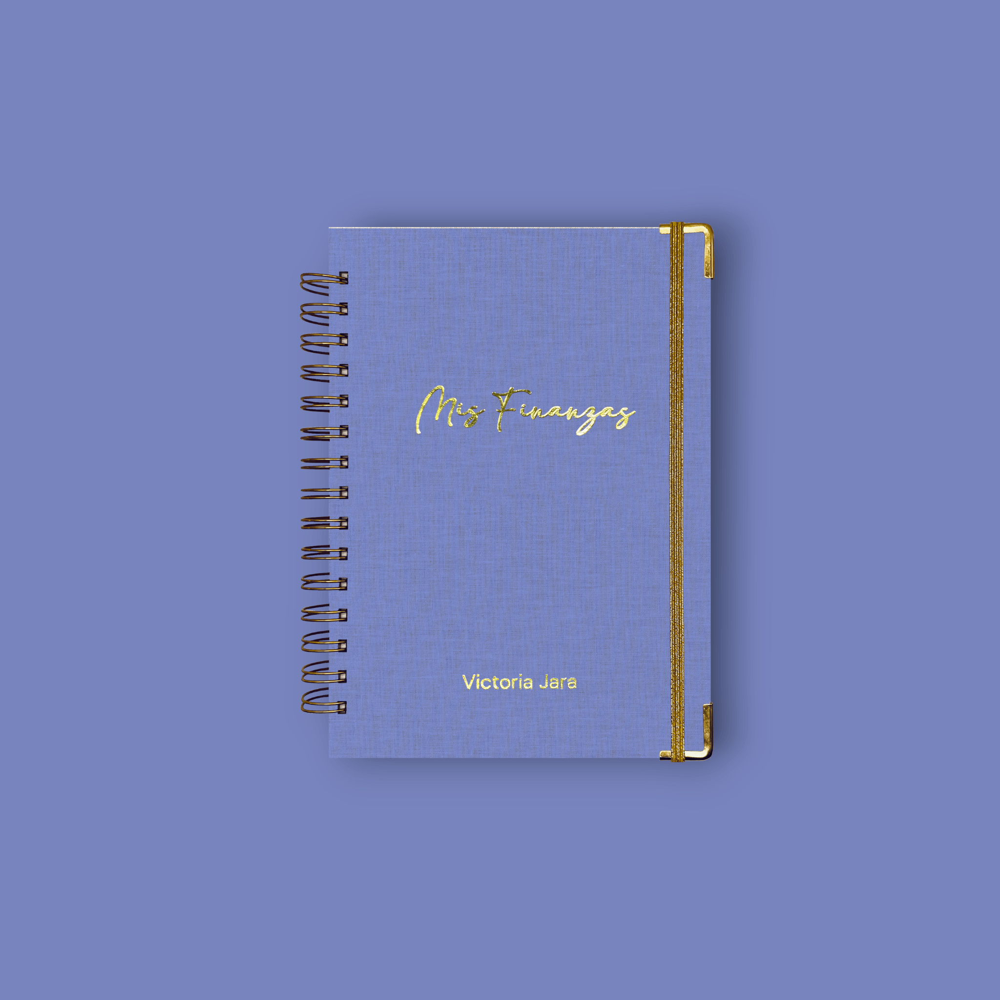 Planner de Finanzas 2025 - Fabric