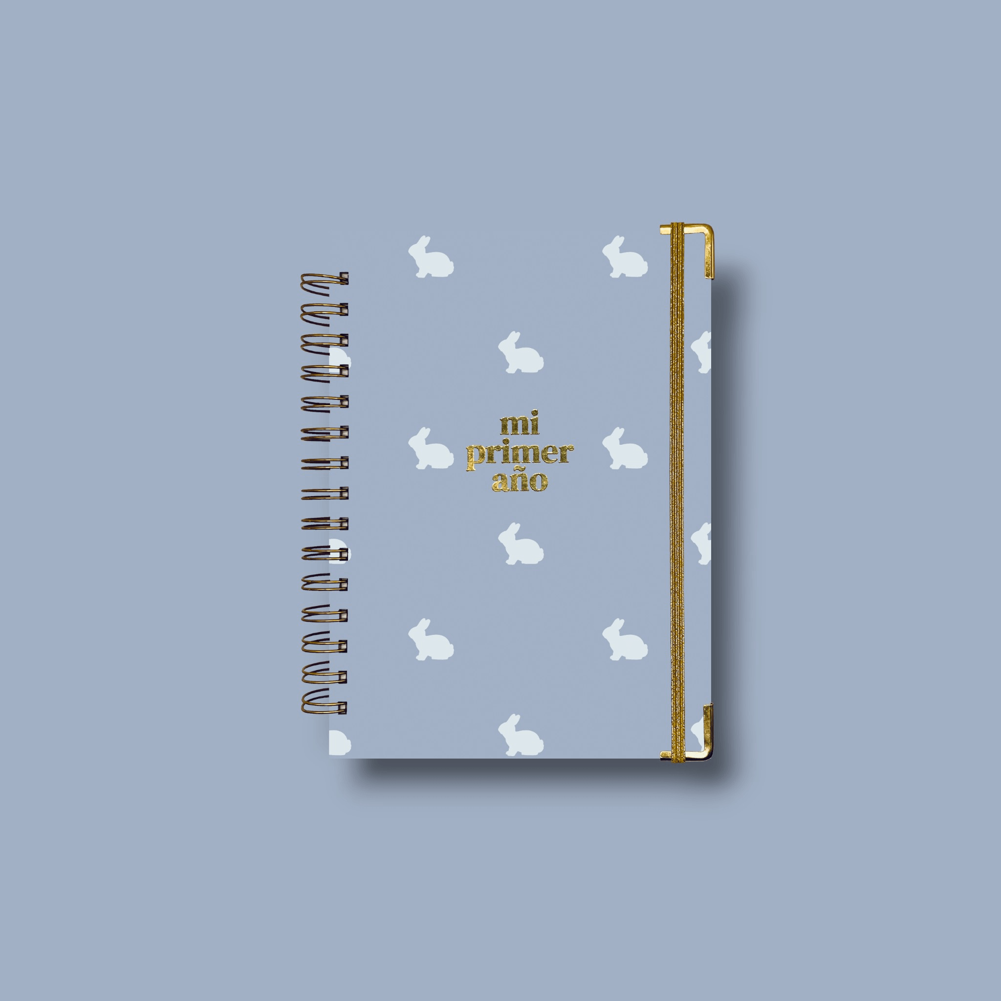 Diario Único Mi Primer Año - Hop