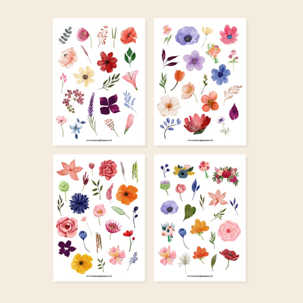 Set de Stickers | Bloom & Grow