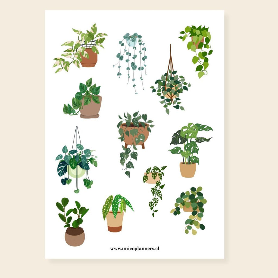 Set de Stickers | Cozy Greens
