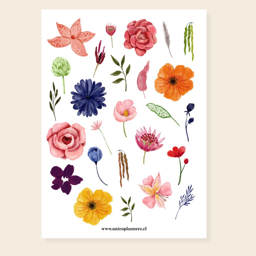 Set de Stickers | Bloom & Grow