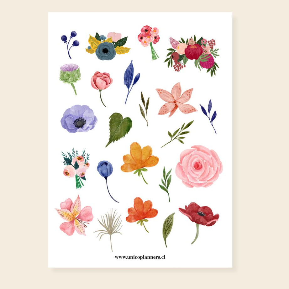 Set de Stickers | Bloom & Grow