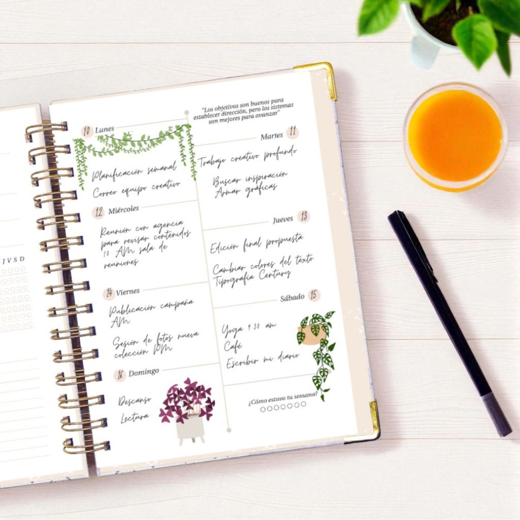 Set de Stickers | Cozy Greens