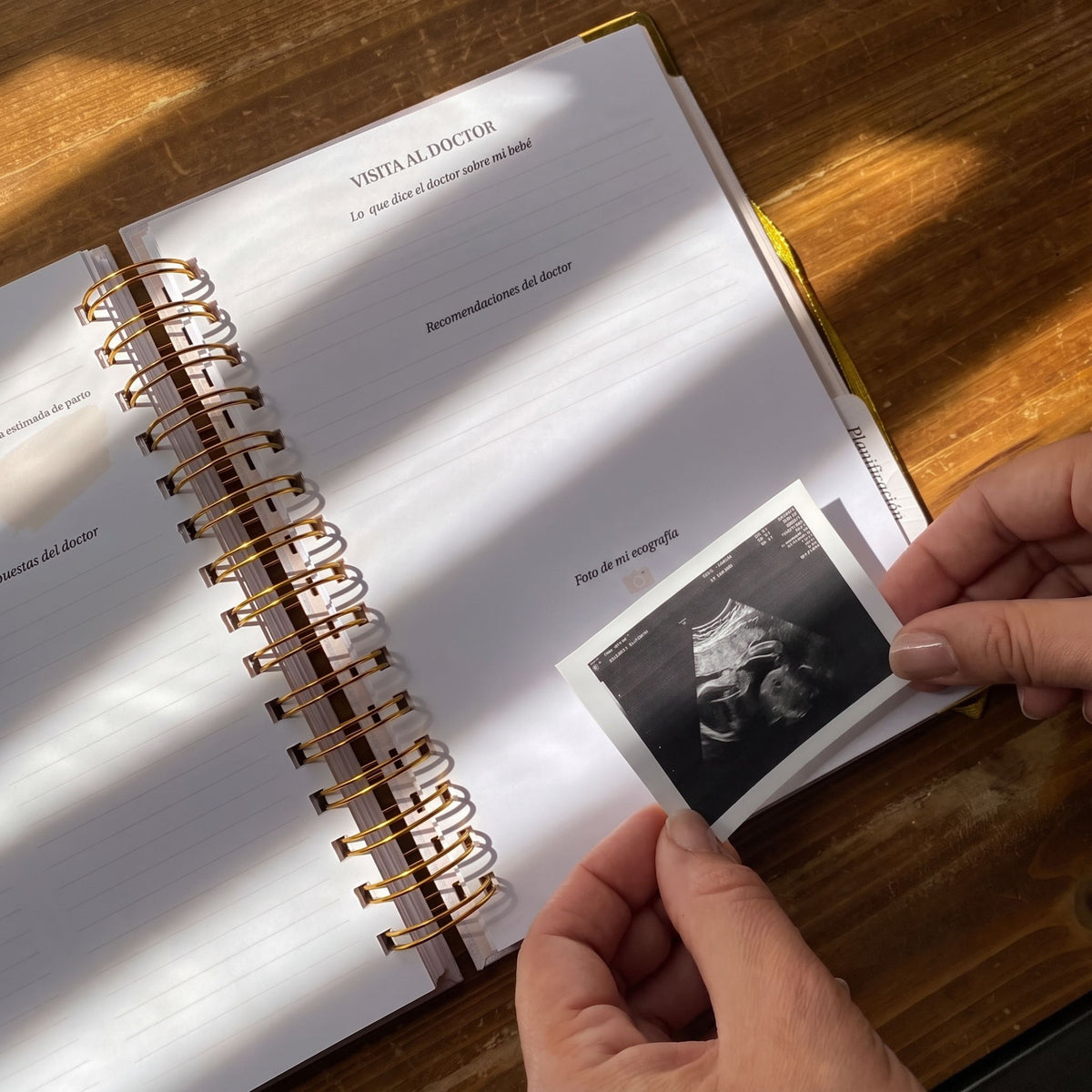 Diario Único Mi Embarazo | Fabric