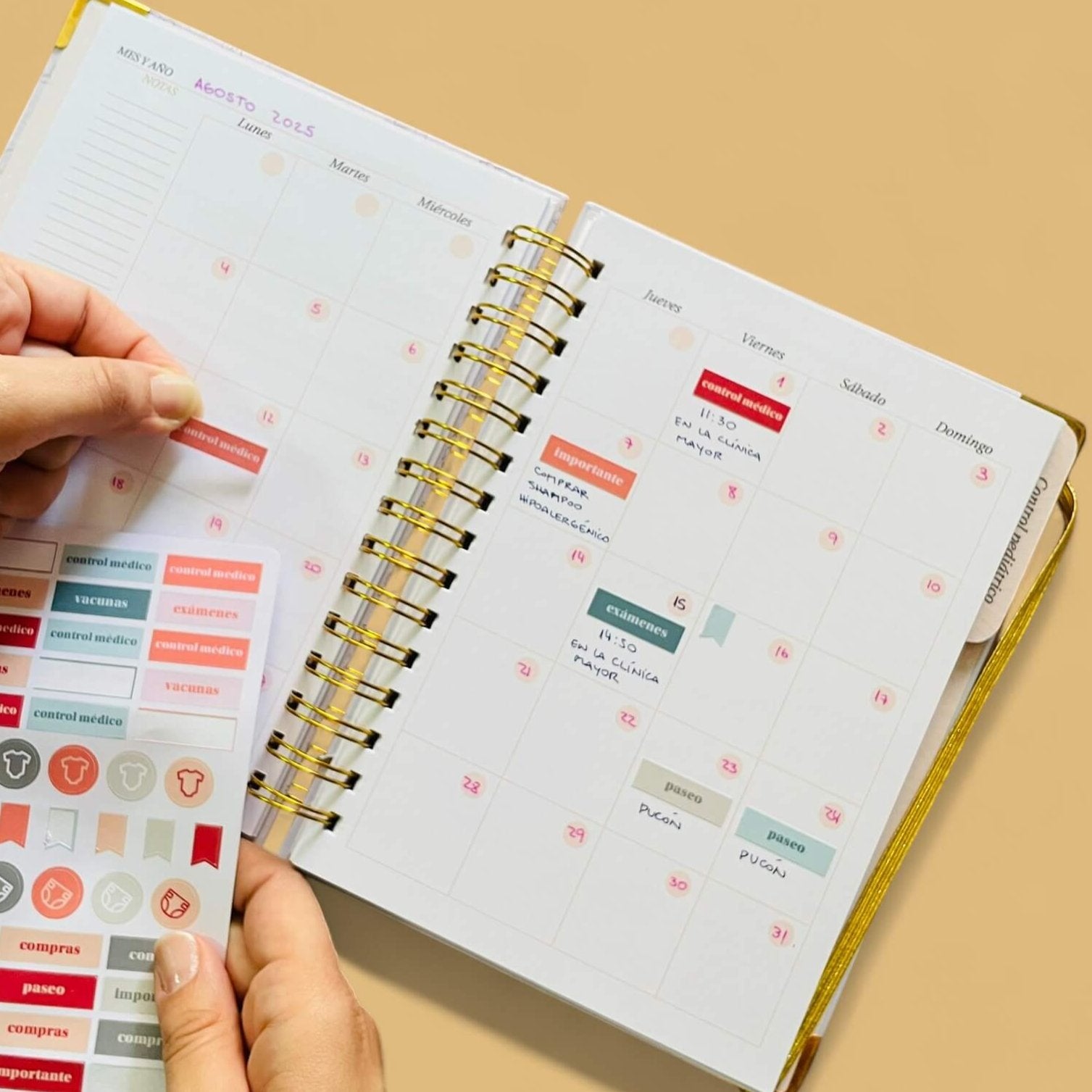 Diario Único Mi Primer Año - Joy