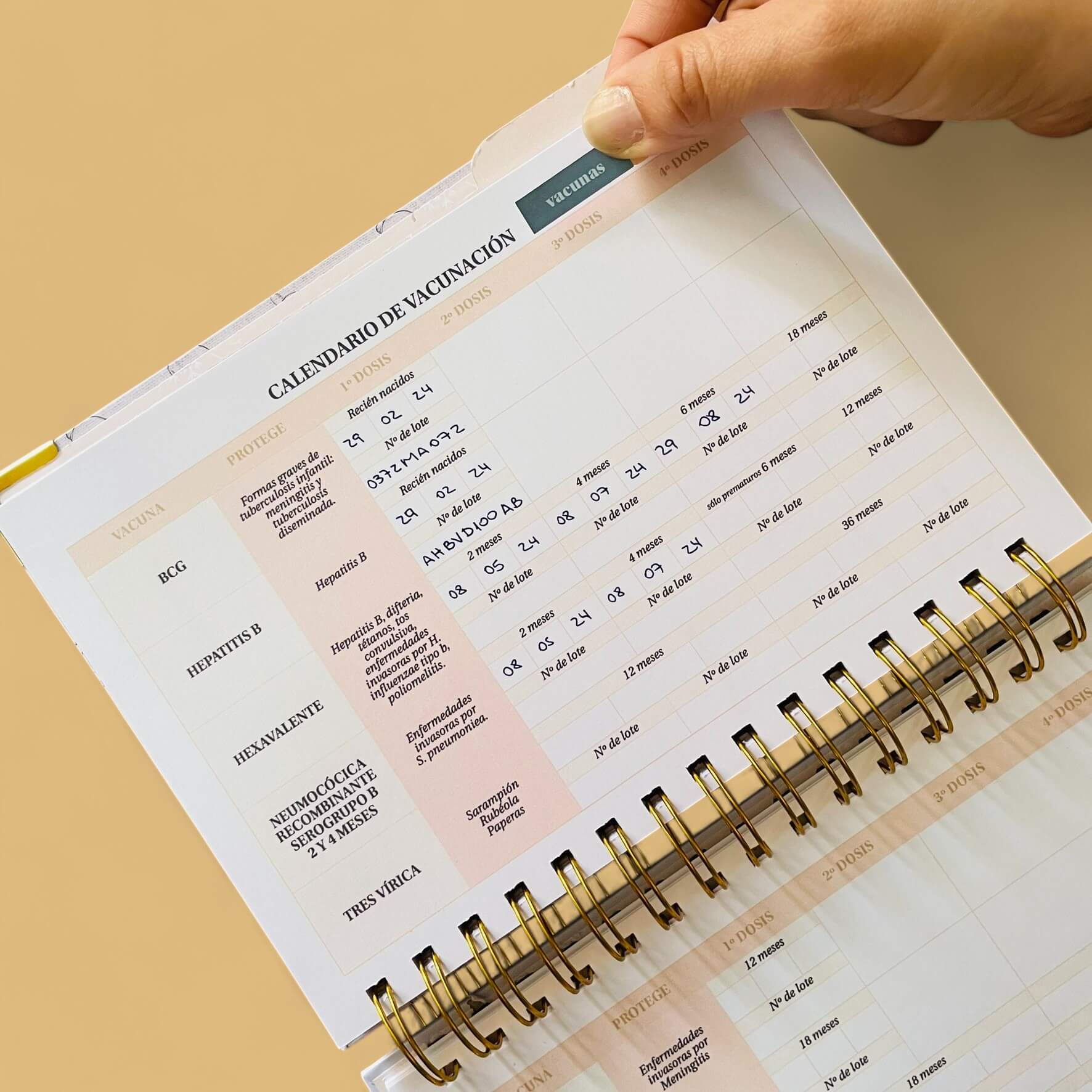 Diario Único Mi Primer Año - Joy