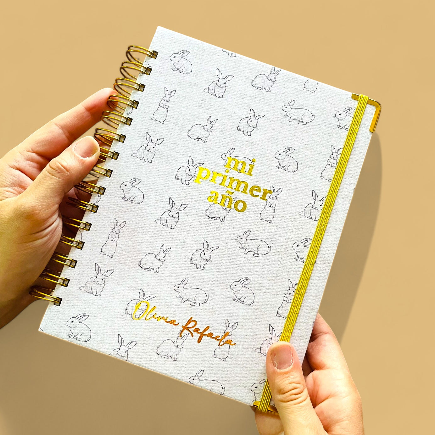 Diario Único Mi Primer Año - Joy