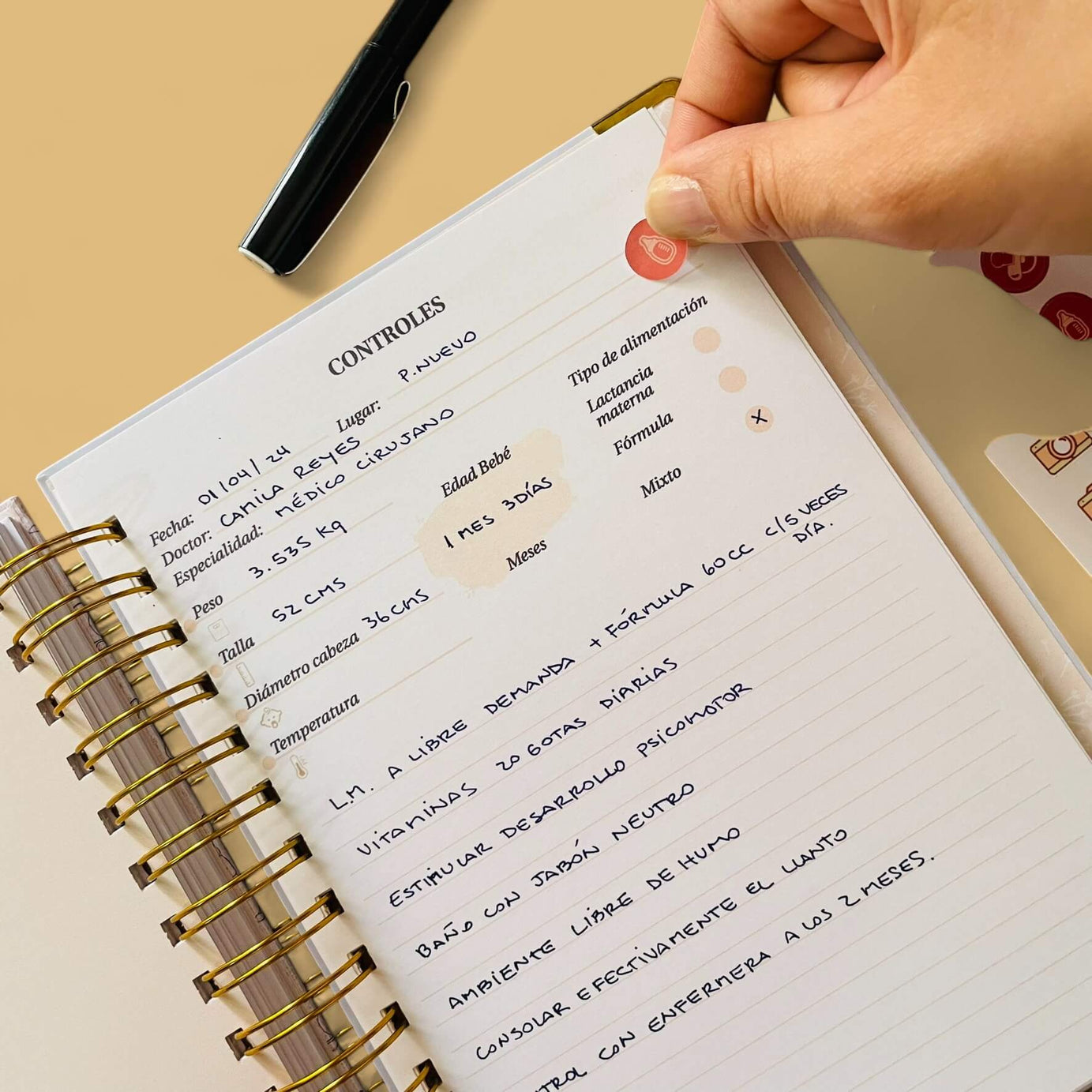 Diario Único Mi Primer Año - Joy