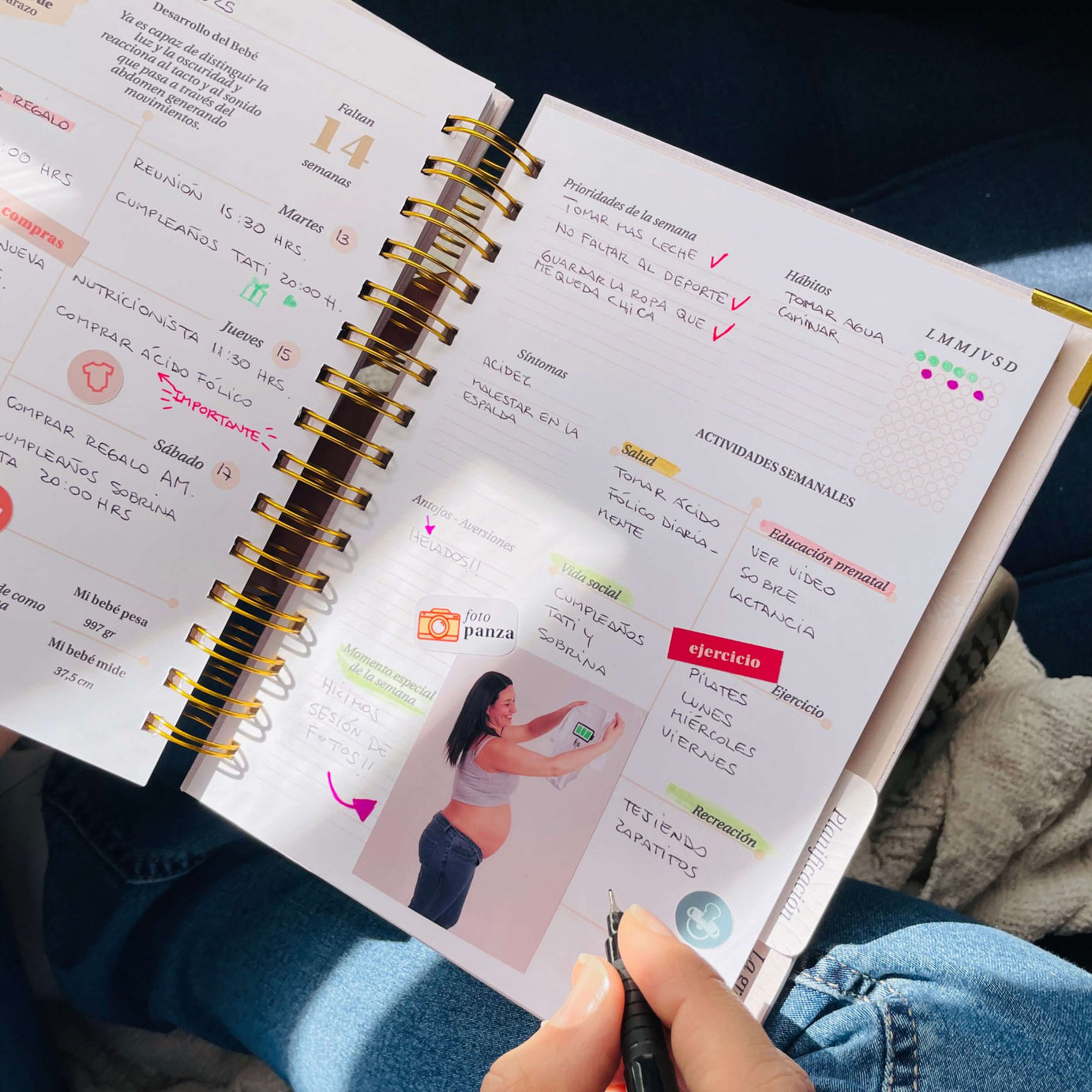 Diario Único Mi Embarazo - Fabric