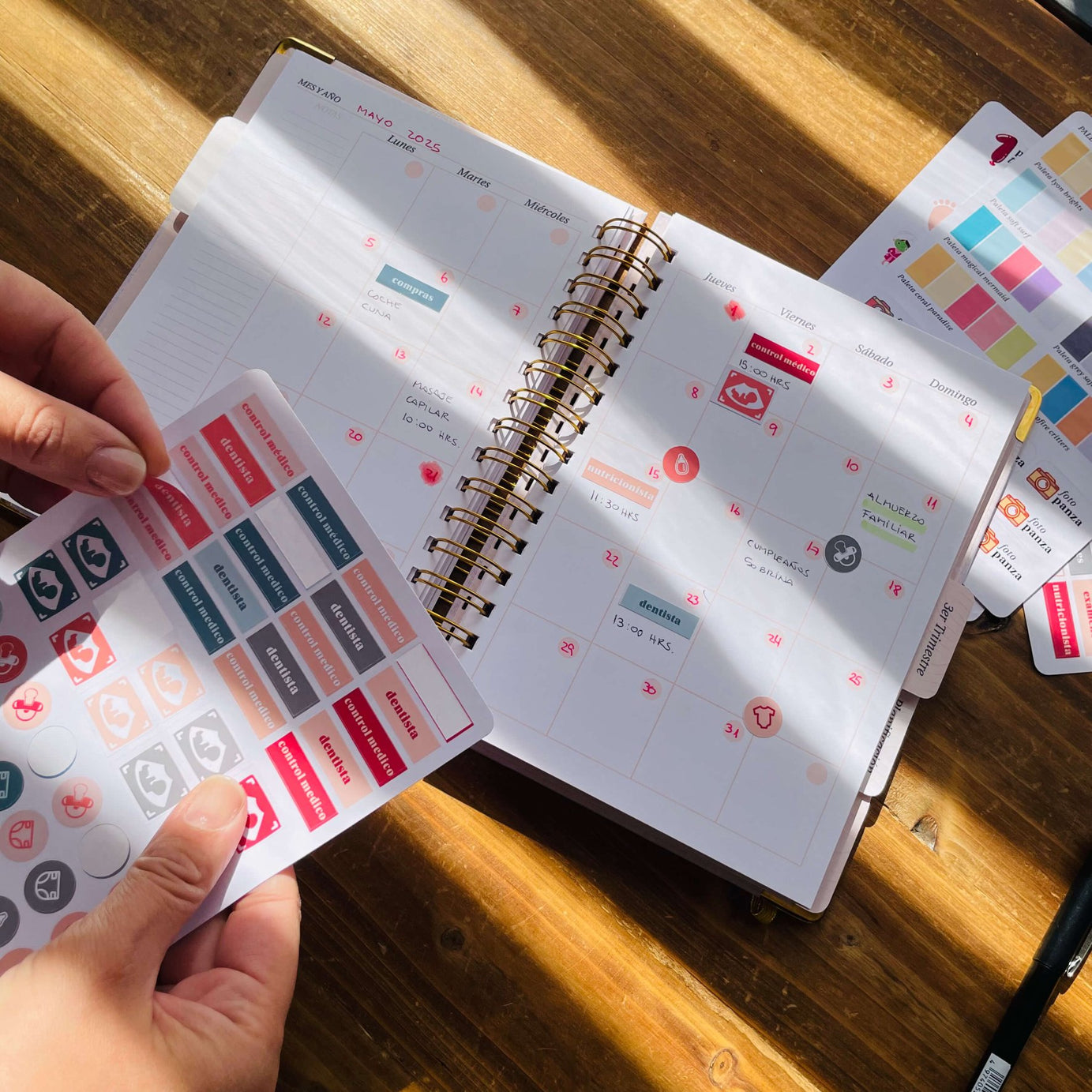 Diario Único Mi Embarazo - Fabric