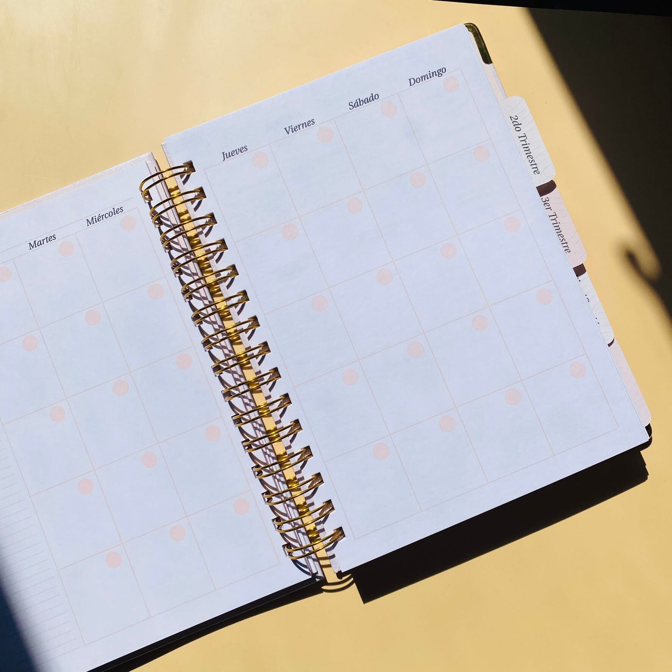 Diario Único Mi Embarazo - Fabric