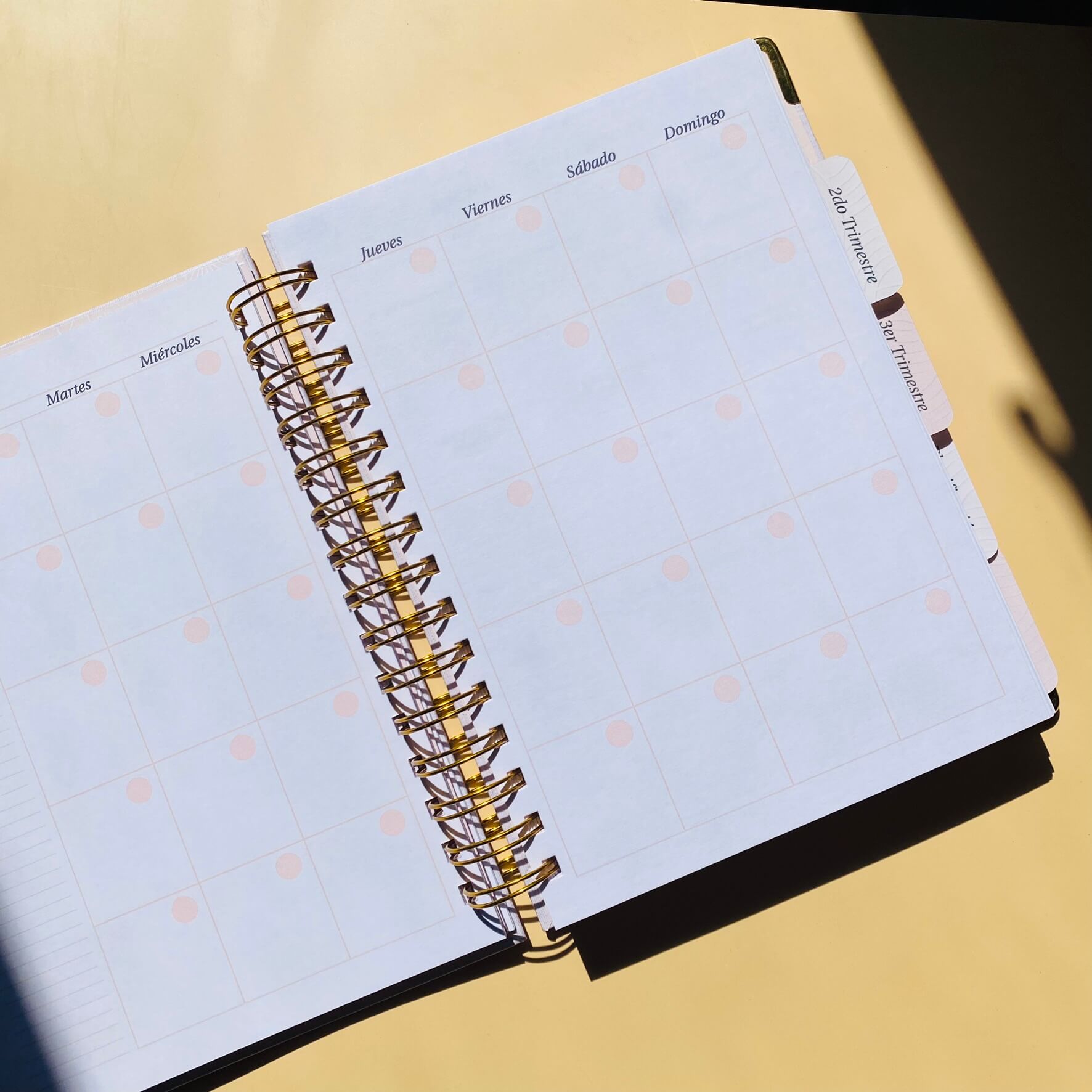 Diario Único Mi Embarazo - Fabric