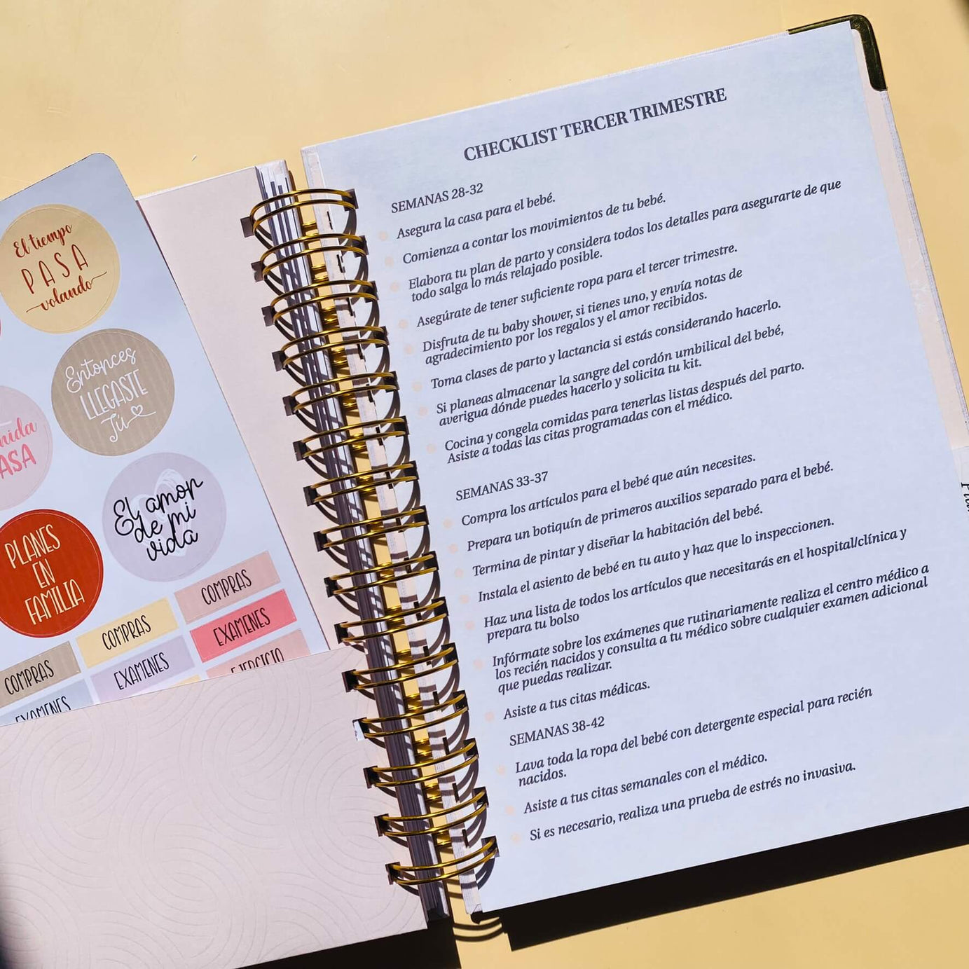 Diario Único Mi Embarazo - Fabric