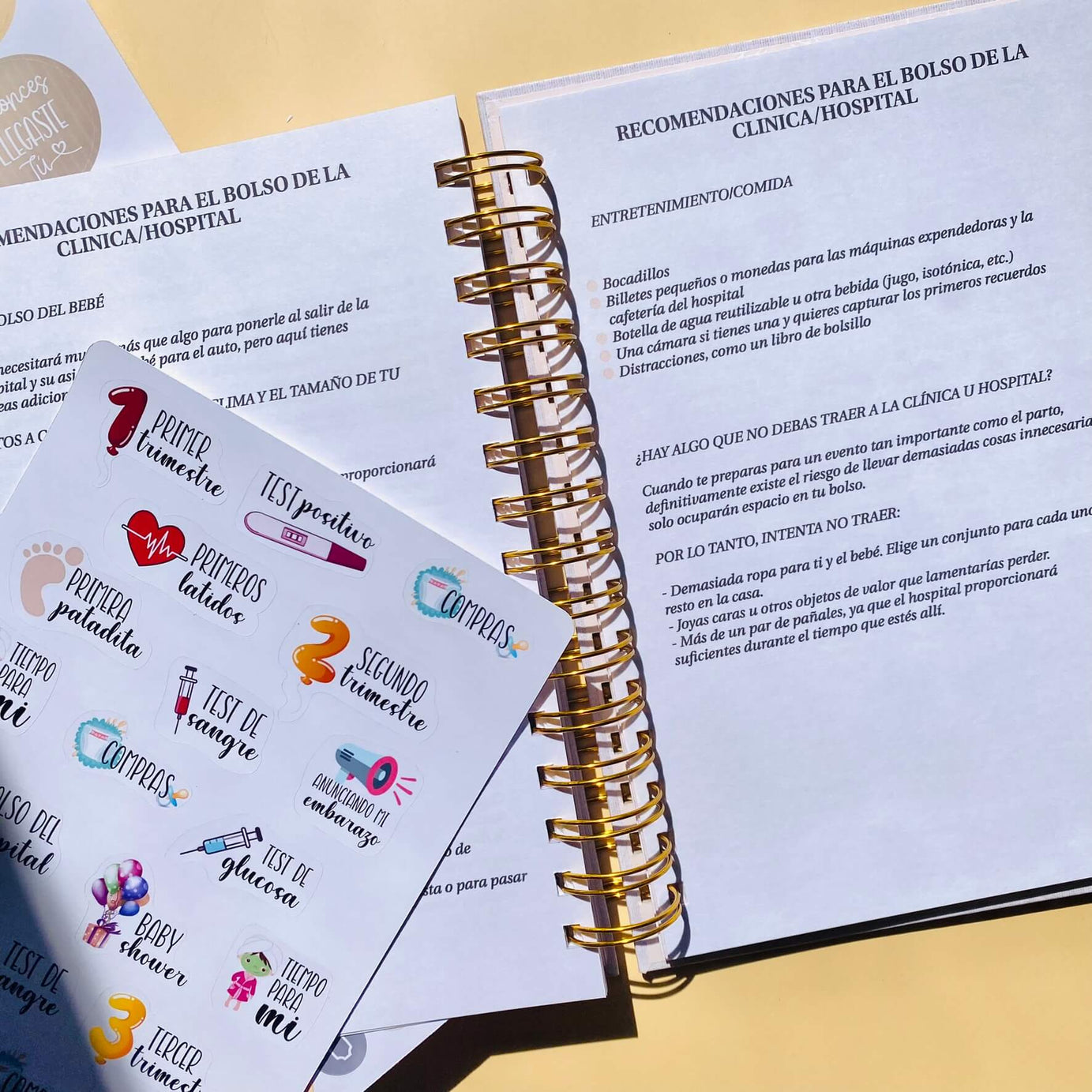 Diario Único Mi Embarazo - Fabric