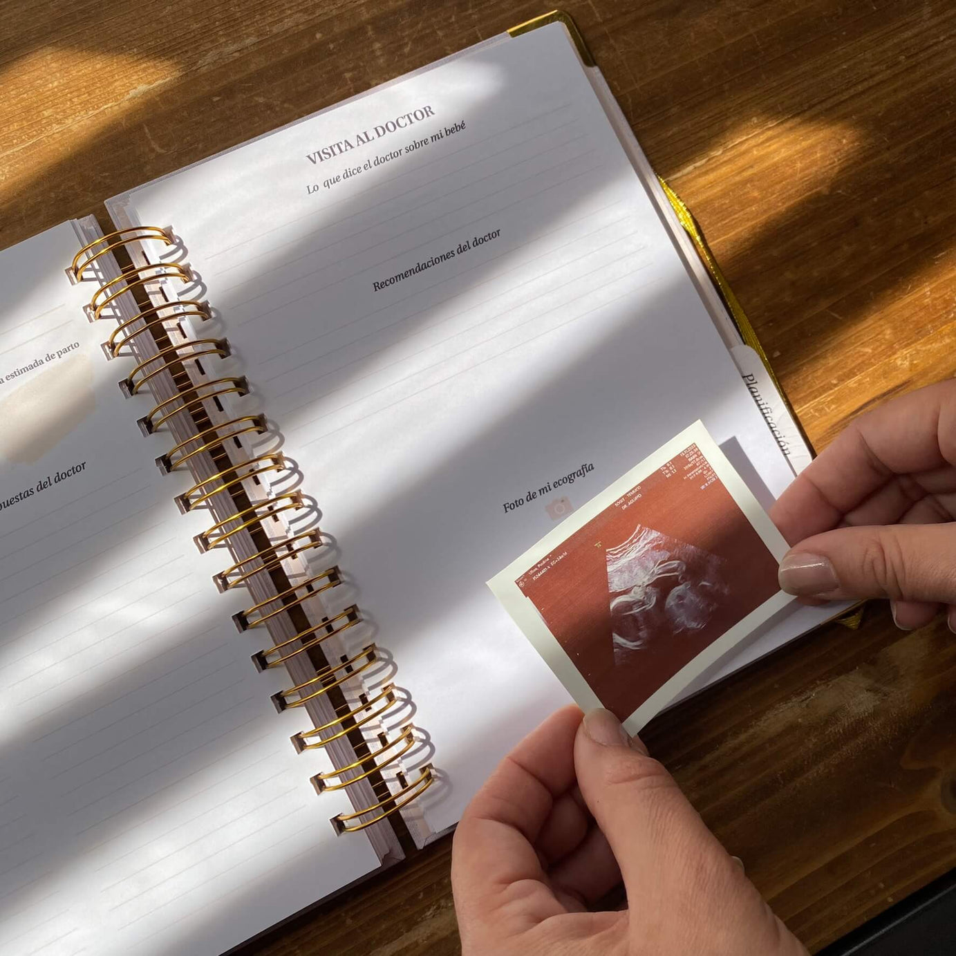 Diario Único Mi Embarazo - Fabric