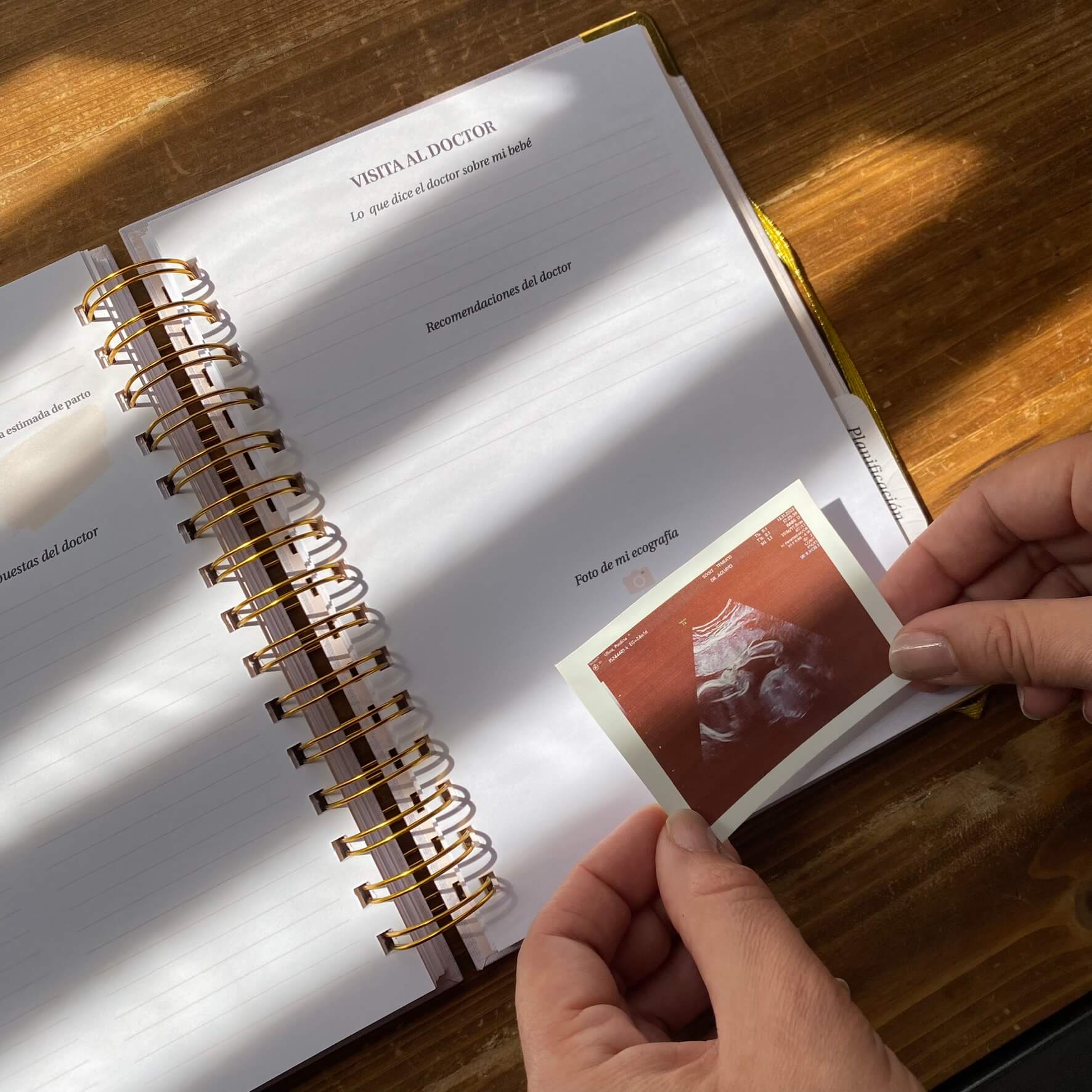 Diario Único Mi Embarazo - Fabric