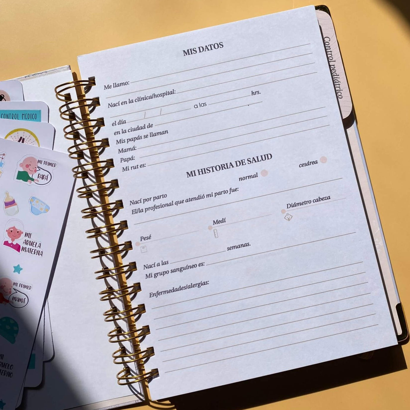 Diario Único Mi Primer Año - Joy