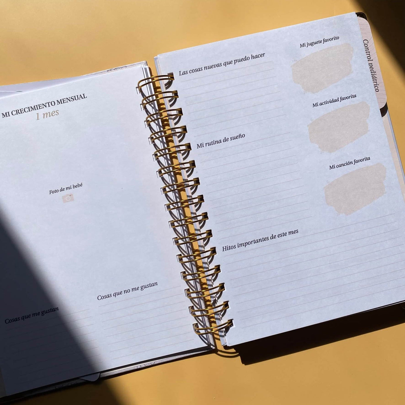 Diario Único Mi Primer Año - Joy