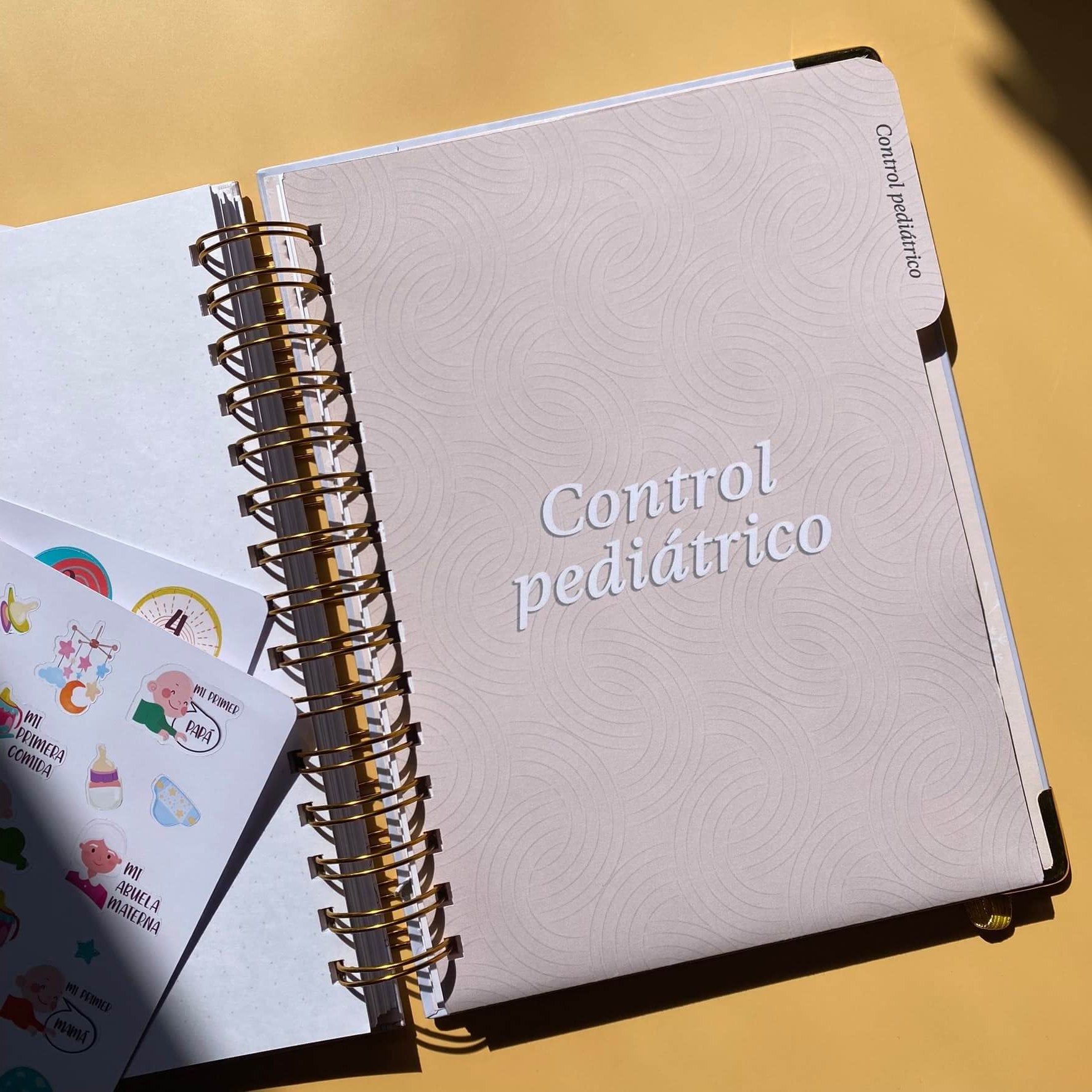 Diario Único Mi Primer Año - Joy