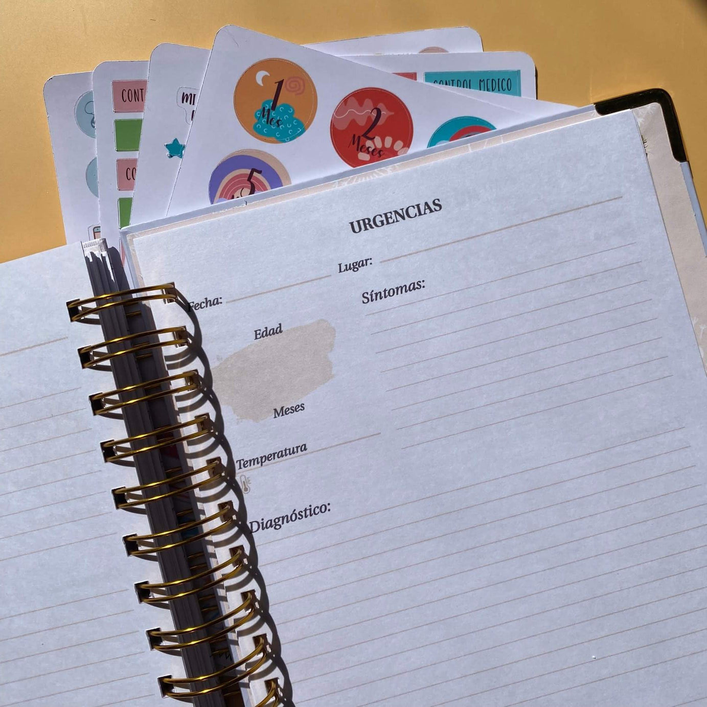 Diario Único Mi Primer Año - Joy