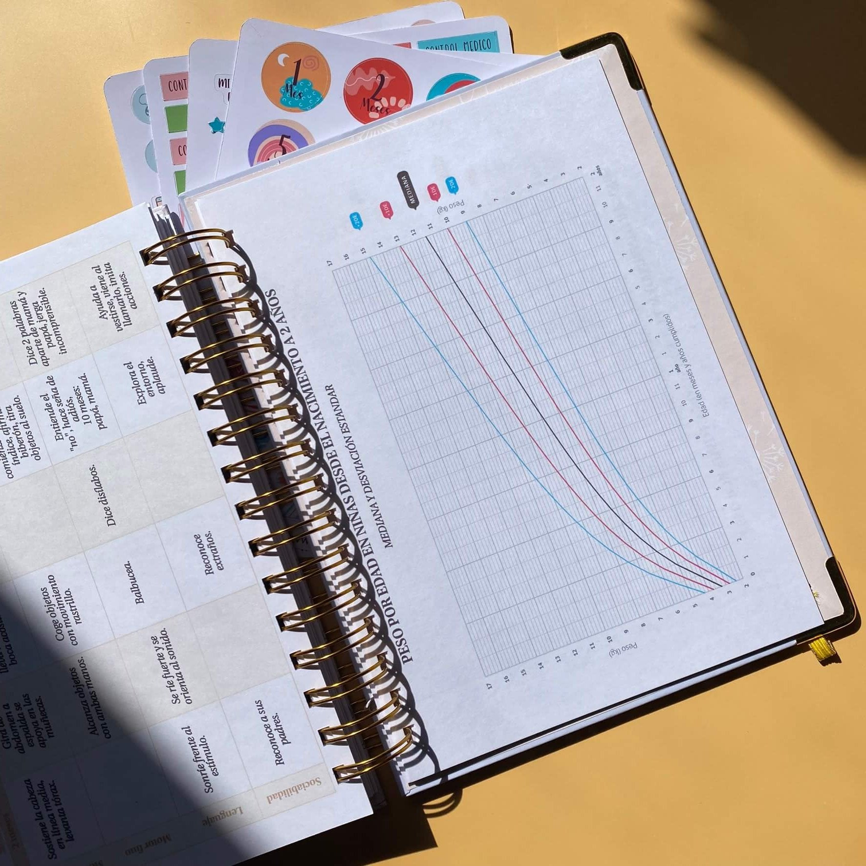 Diario Único Mi Primer Año - Joy