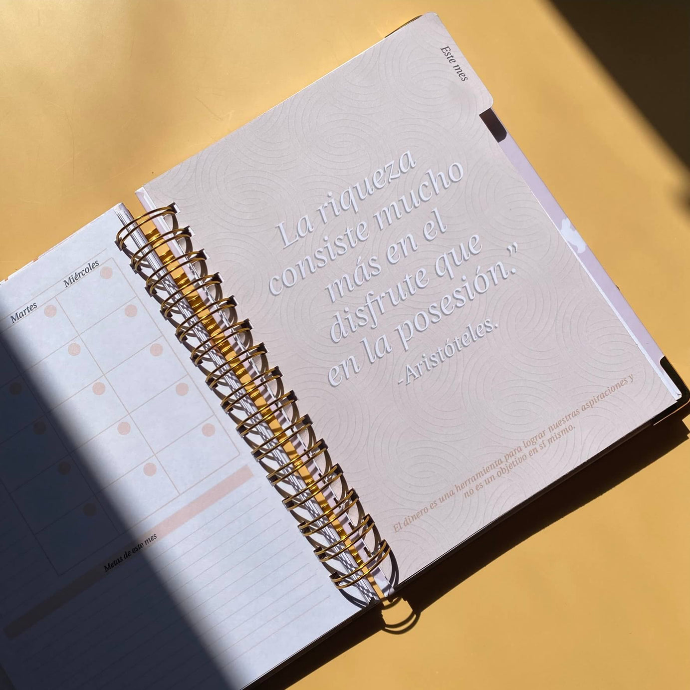 Planner de Finanzas 2025 - Colorblock